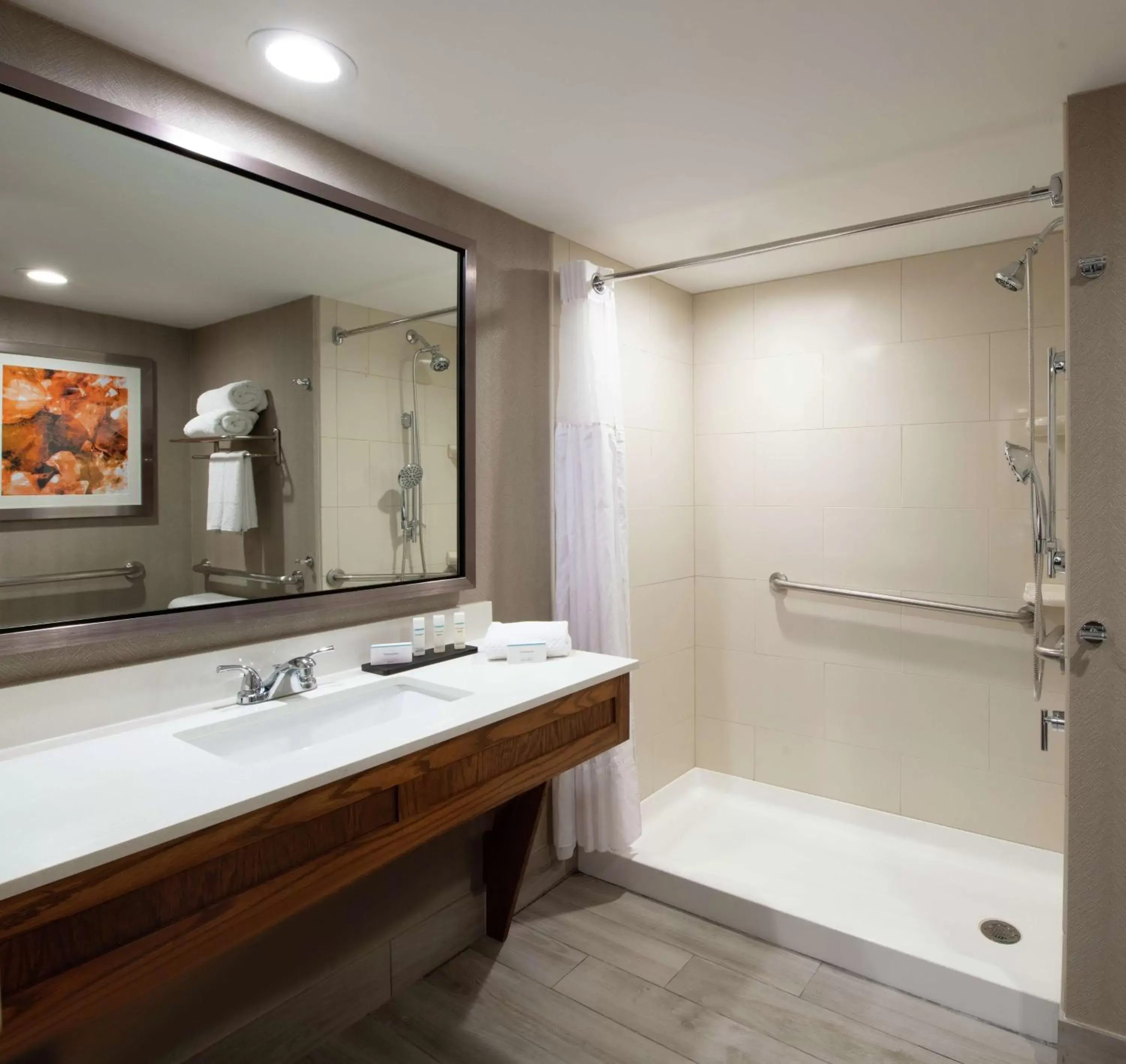 Bathroom in Embassy Suites by Hilton Colorado Springs