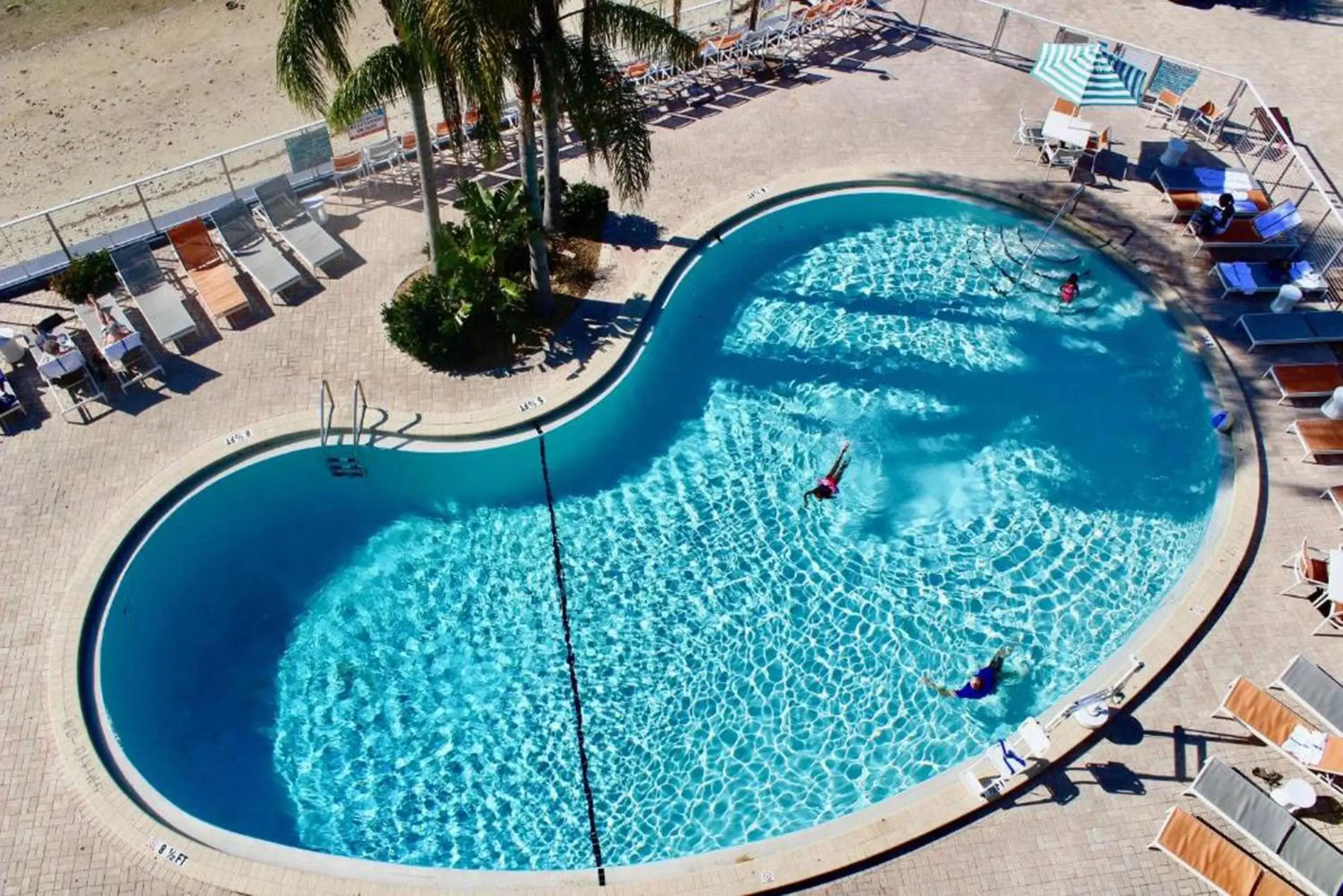 Swimming pool, Pool View in The Godfrey Hotel & Cabanas Tampa