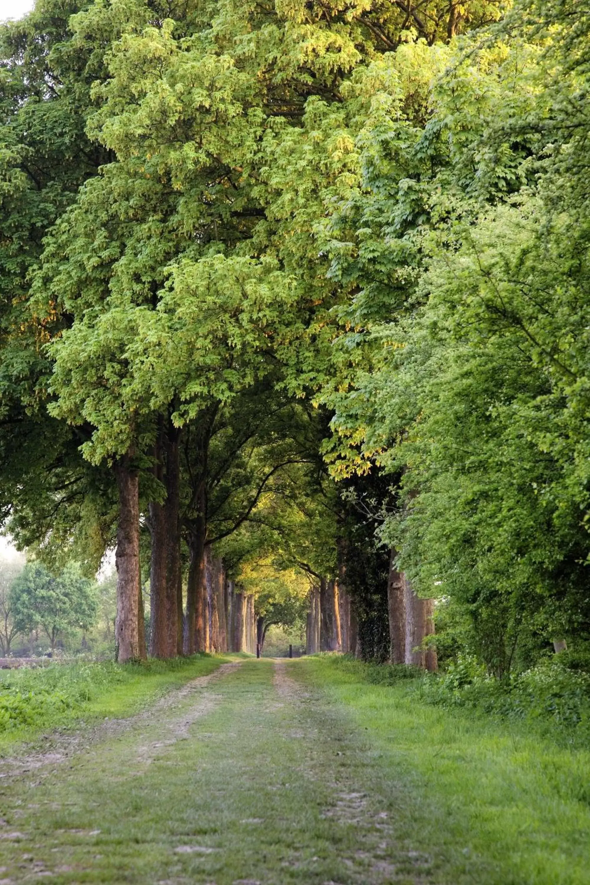 Natural landscape, Garden in Bilderberg Château Holtmühle