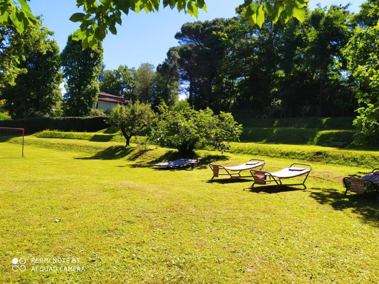 Garden in "La Selvetta" bed and breakfast