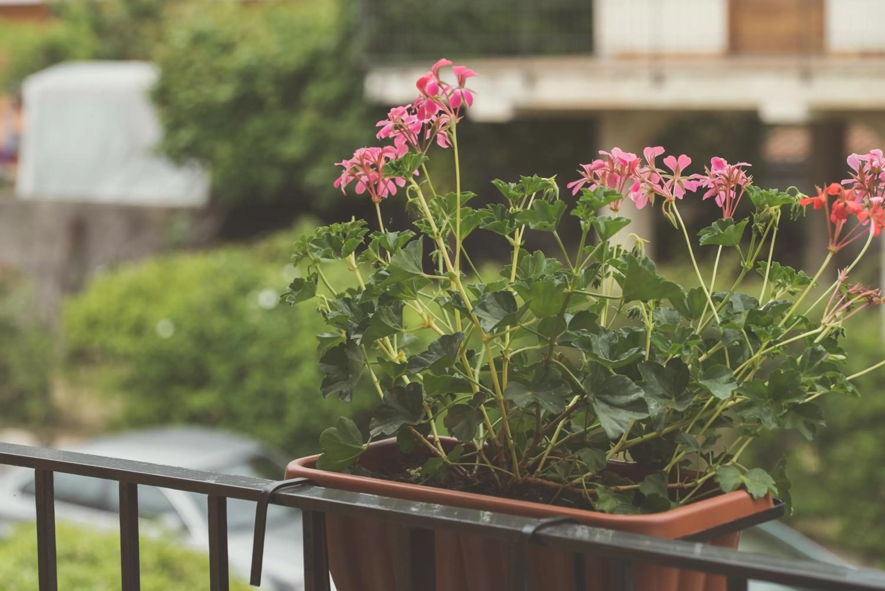 View (from property/room) in B&B Alle Falde Dell'Etna