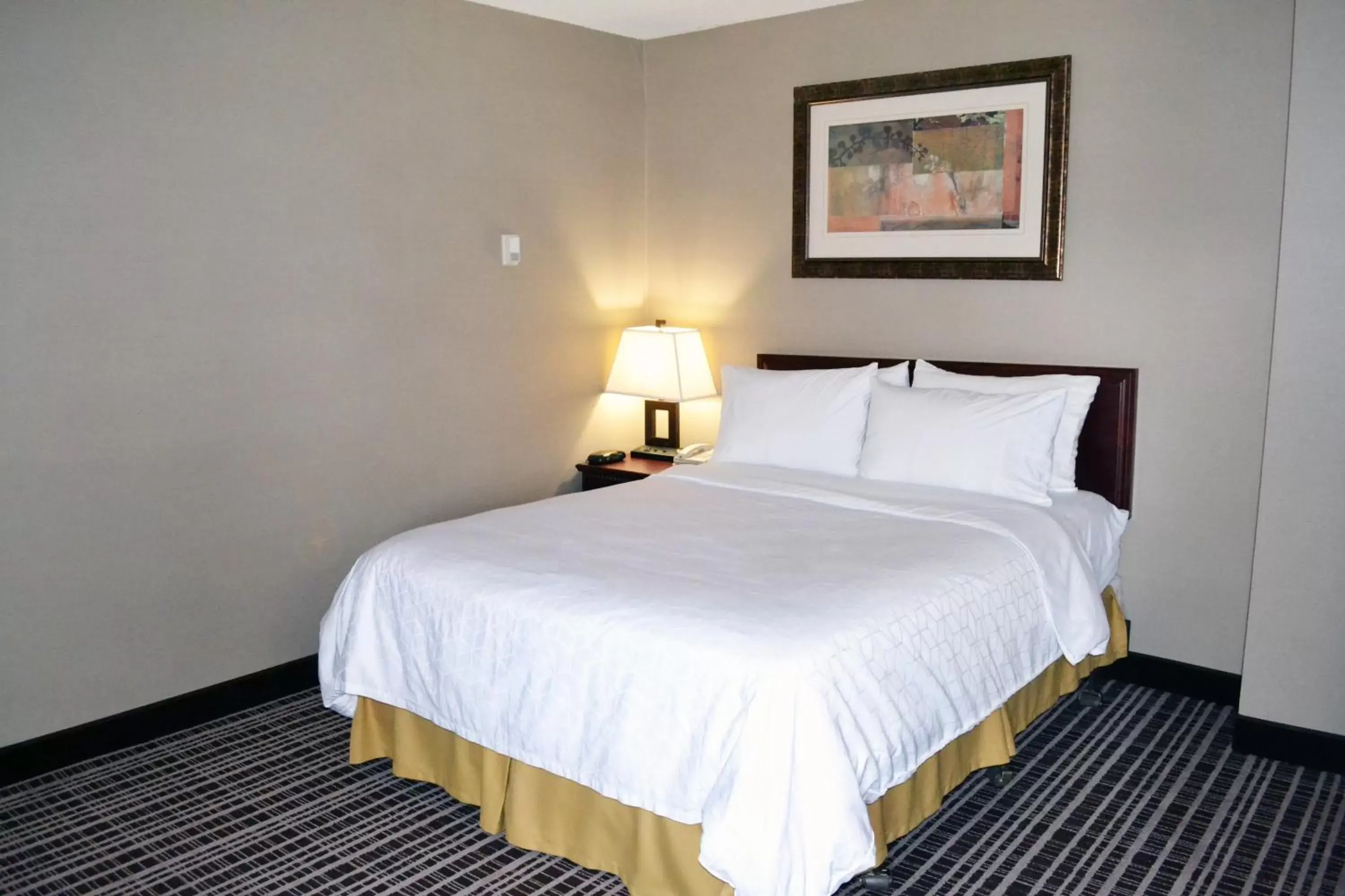 Photo of the whole room, Bed in Holiday Inn Express Red Deer, an IHG Hotel