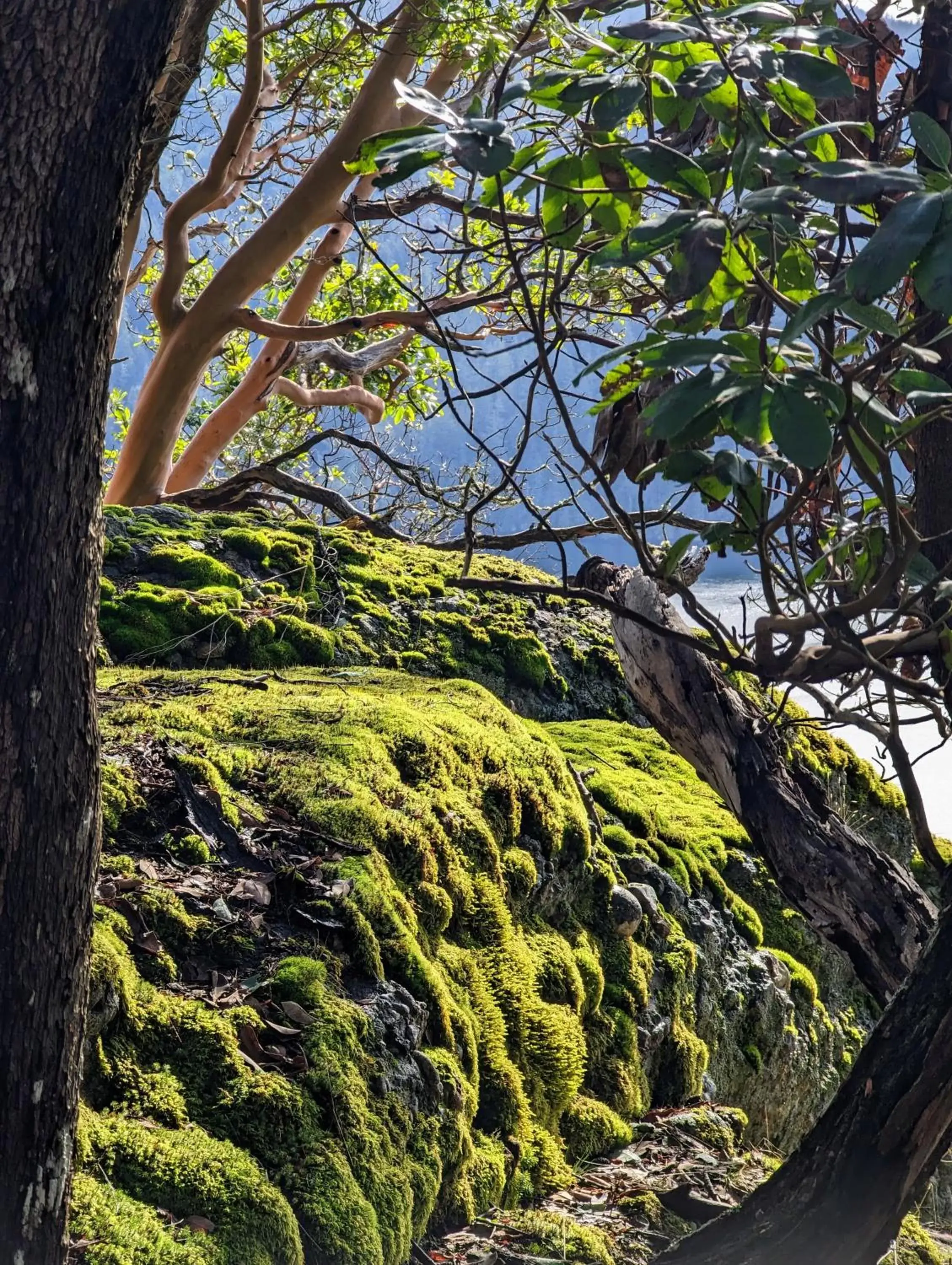 Hiking in Maple Rise Guesthouse