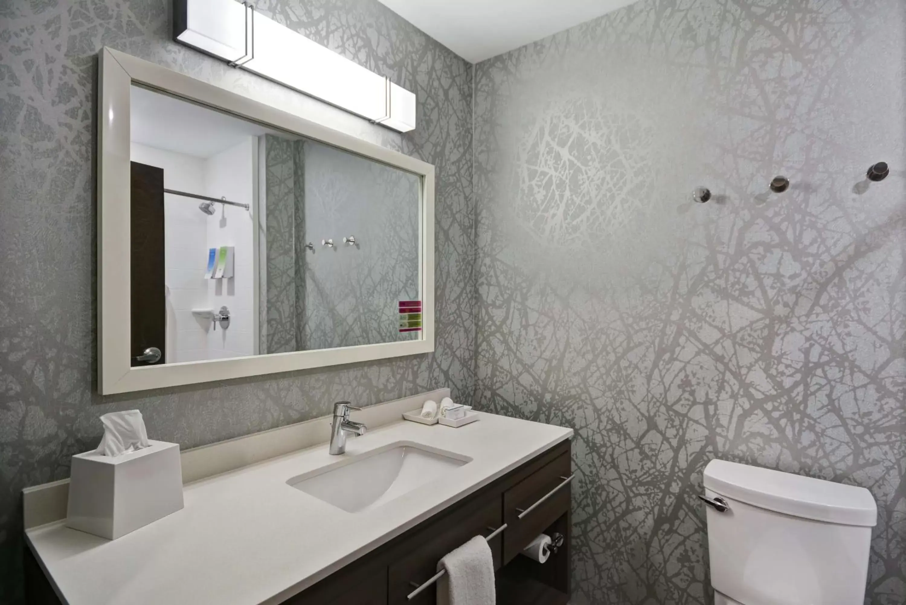 Bathroom in Home2 Suites By Hilton Grand Rapids North