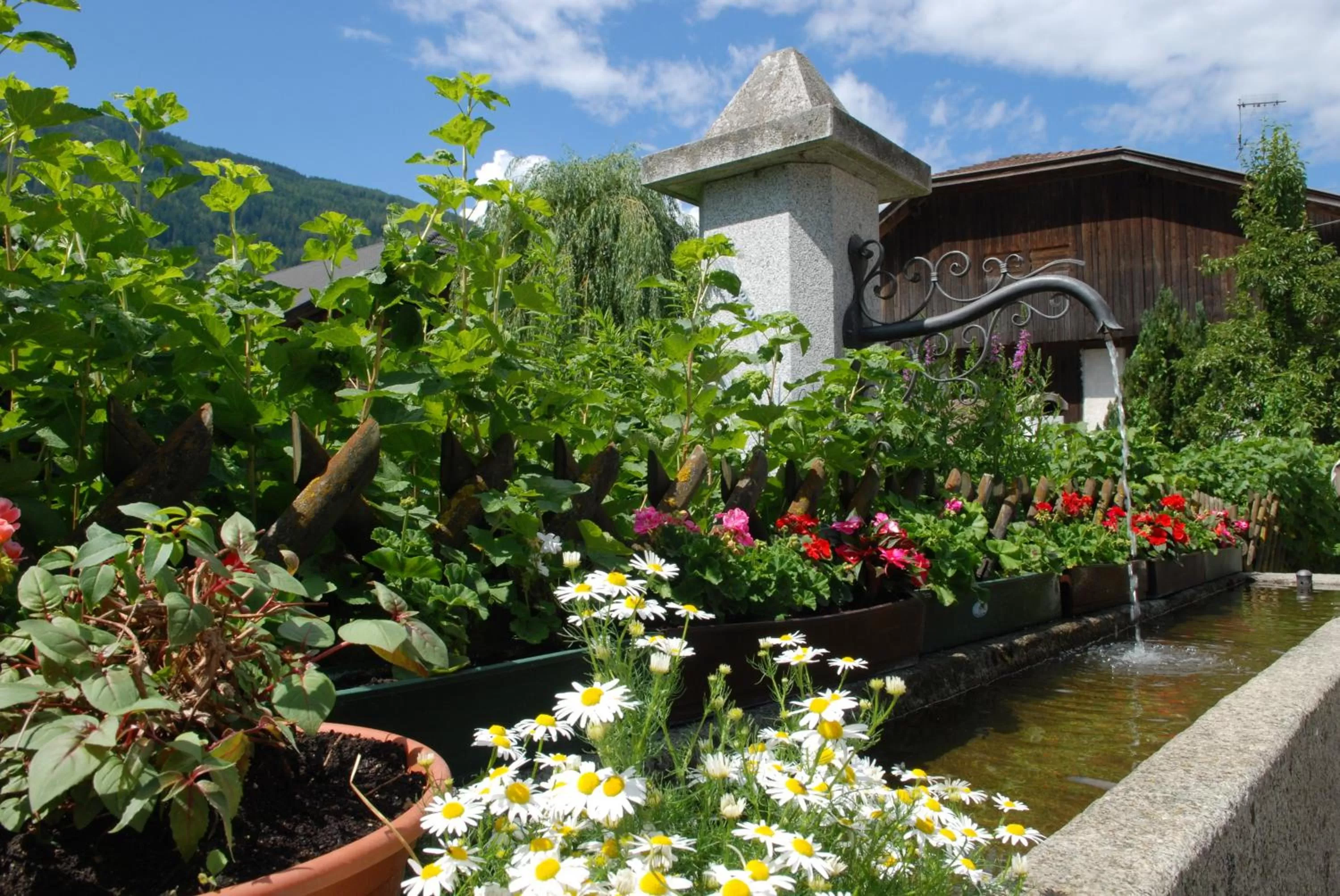 Patio, Property Building in Residence Obermoarhof