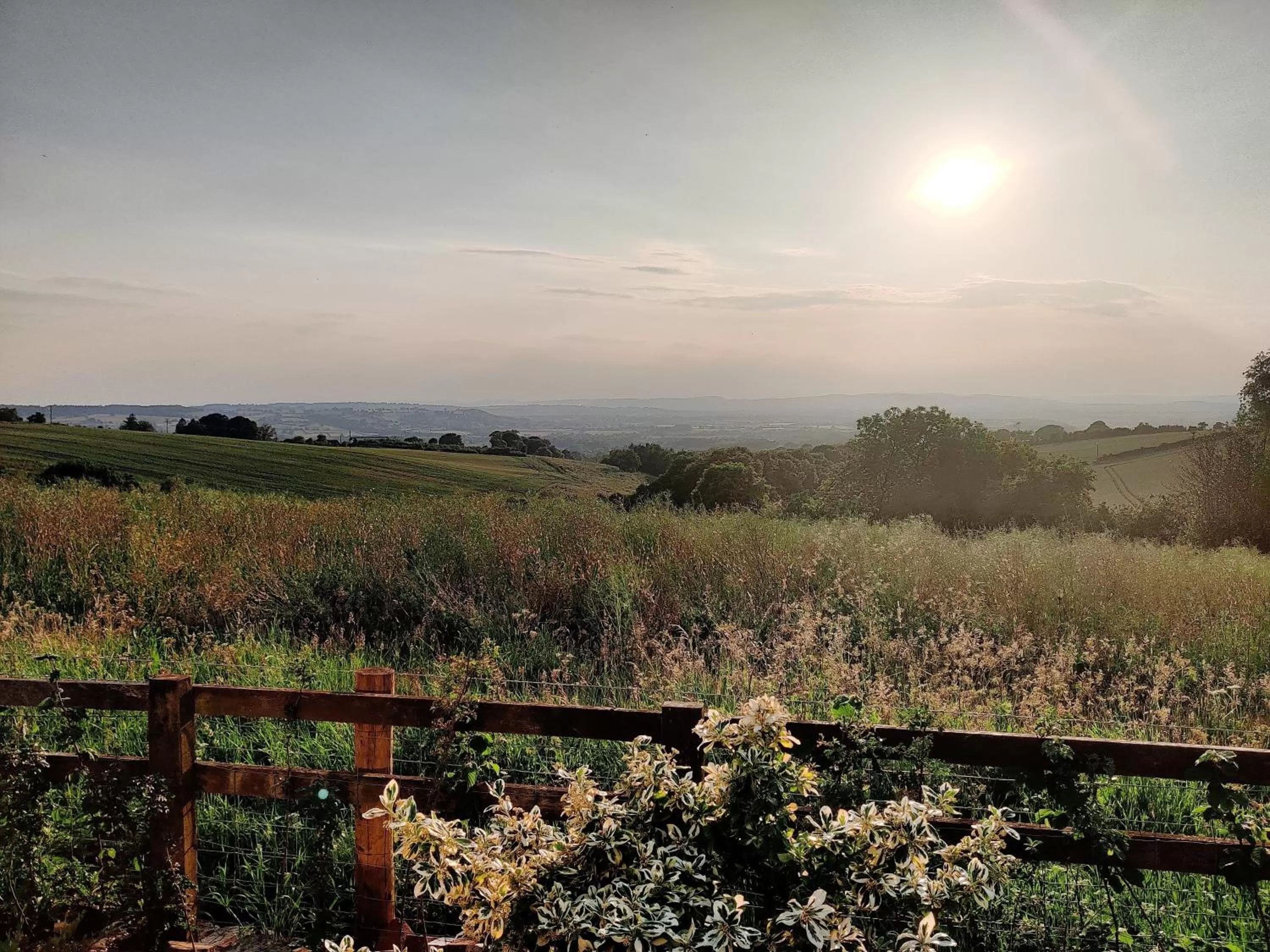View (from property/room) in Hanley House