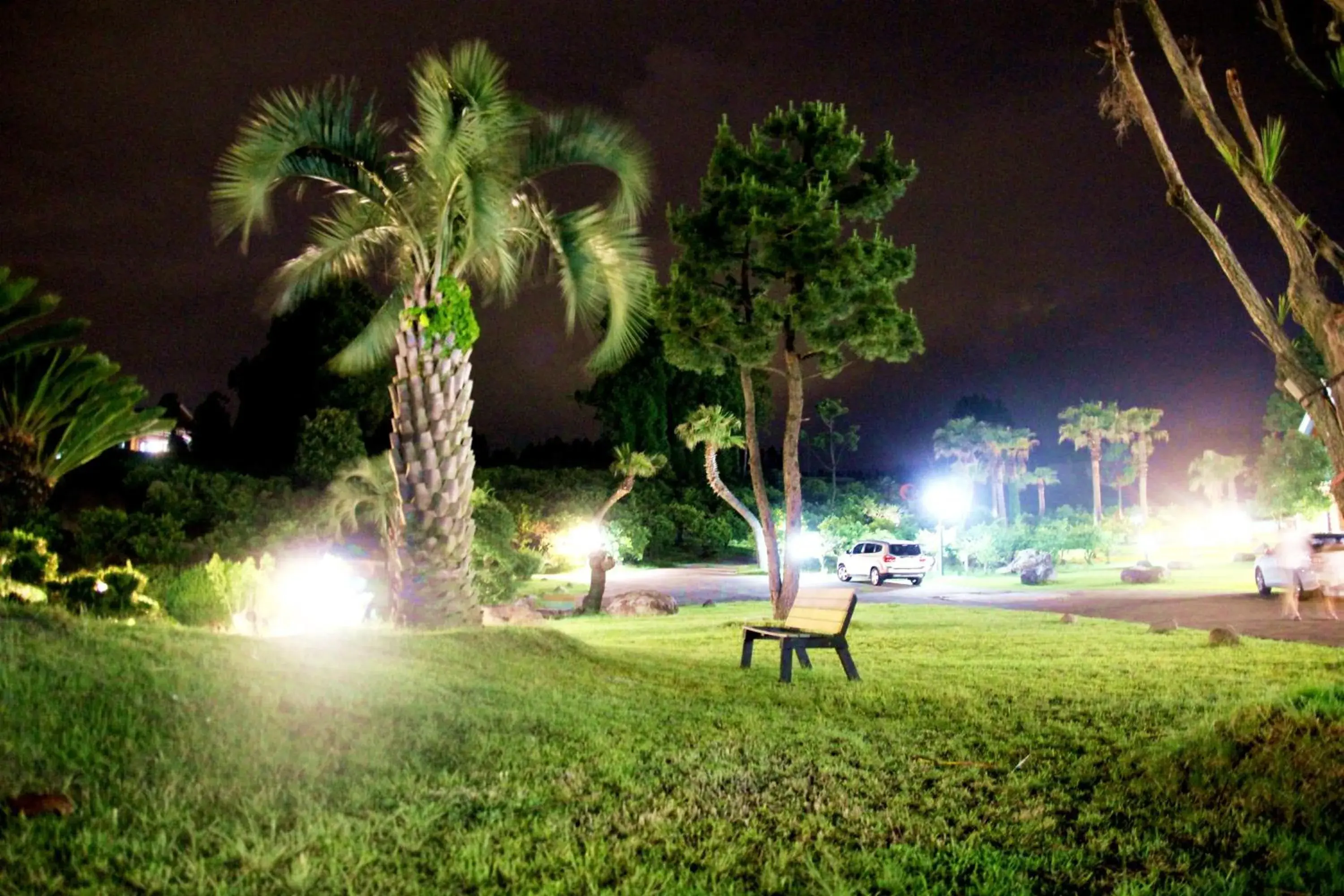 Garden view in Jungmun Log Pension & Resort Garden view in Jungmun Log Pension & Resort