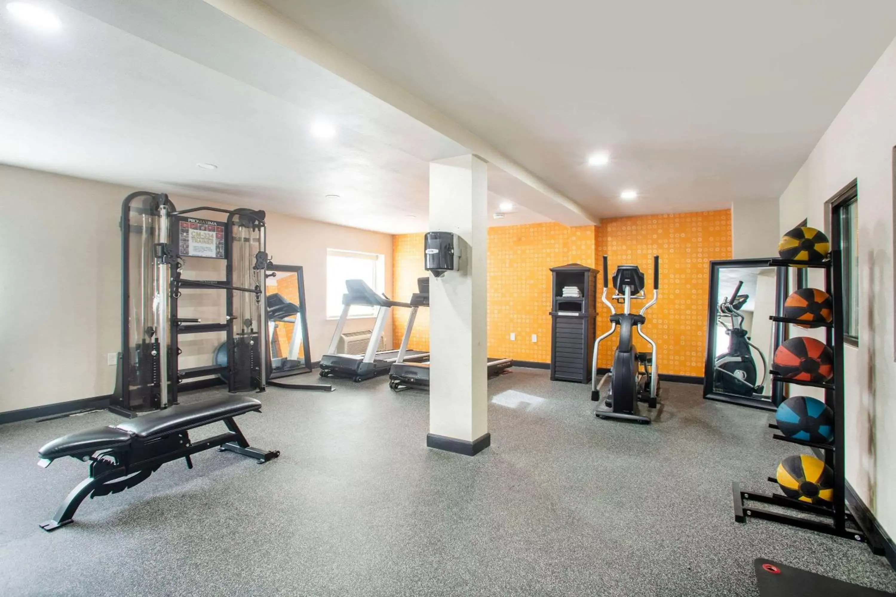 Fitness centre/facilities, Fitness Center/Facilities in La Quinta Inn by Wyndham St. Louis Hazelwood - Airport North