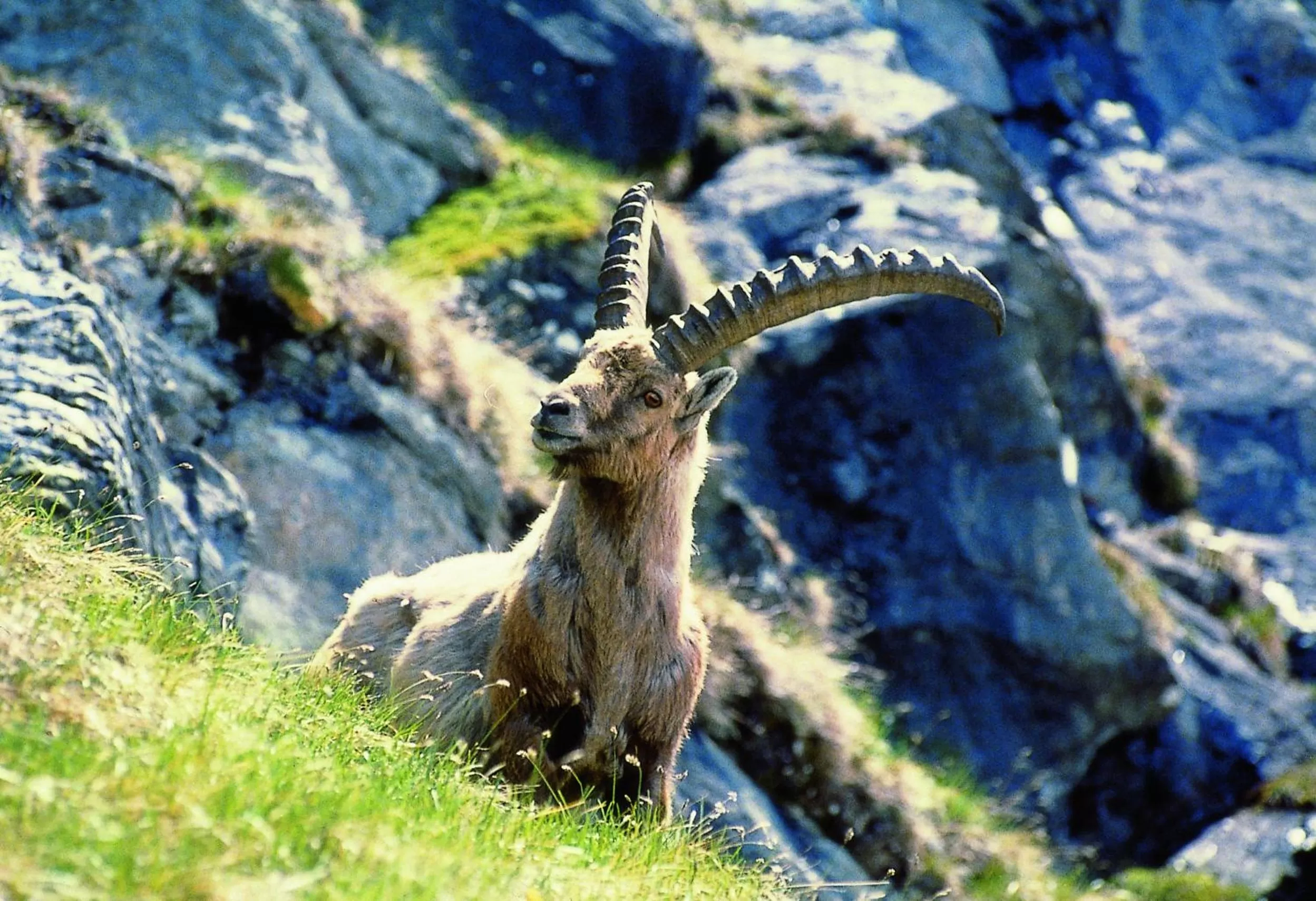 Area and facilities in Hotel in the HEART of the Alps