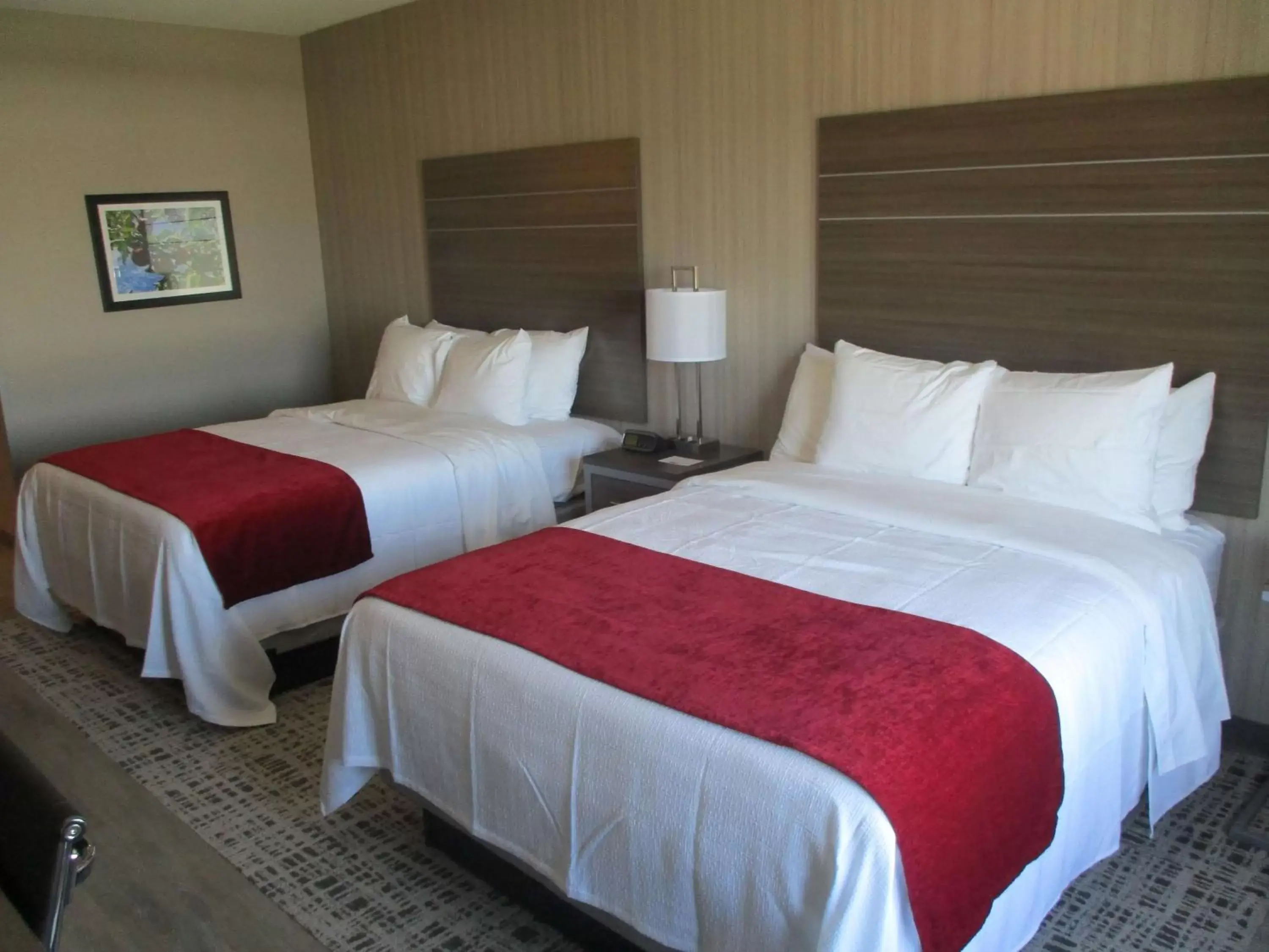 Photo of the whole room, Bed in Best Western Plus LaCrescent - LaCrosse