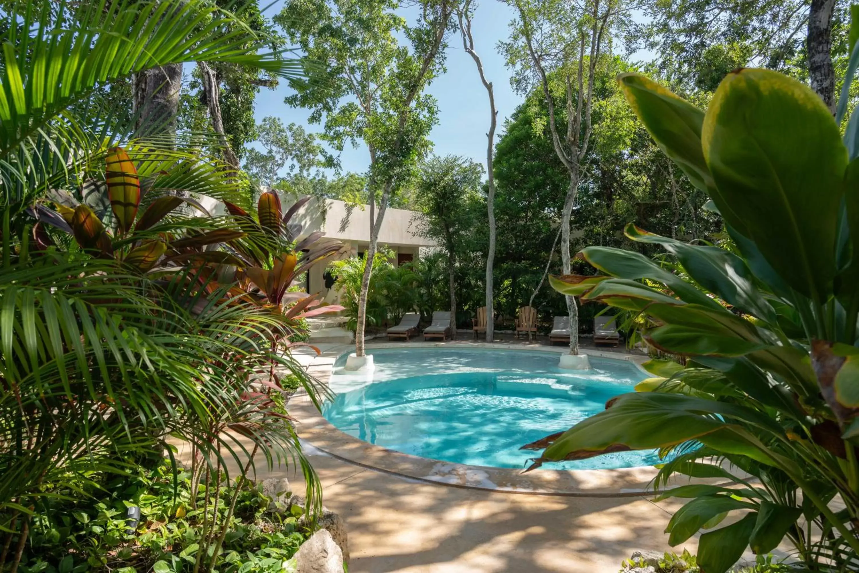 Swimming Pool in Suites at TreeTops Tulum