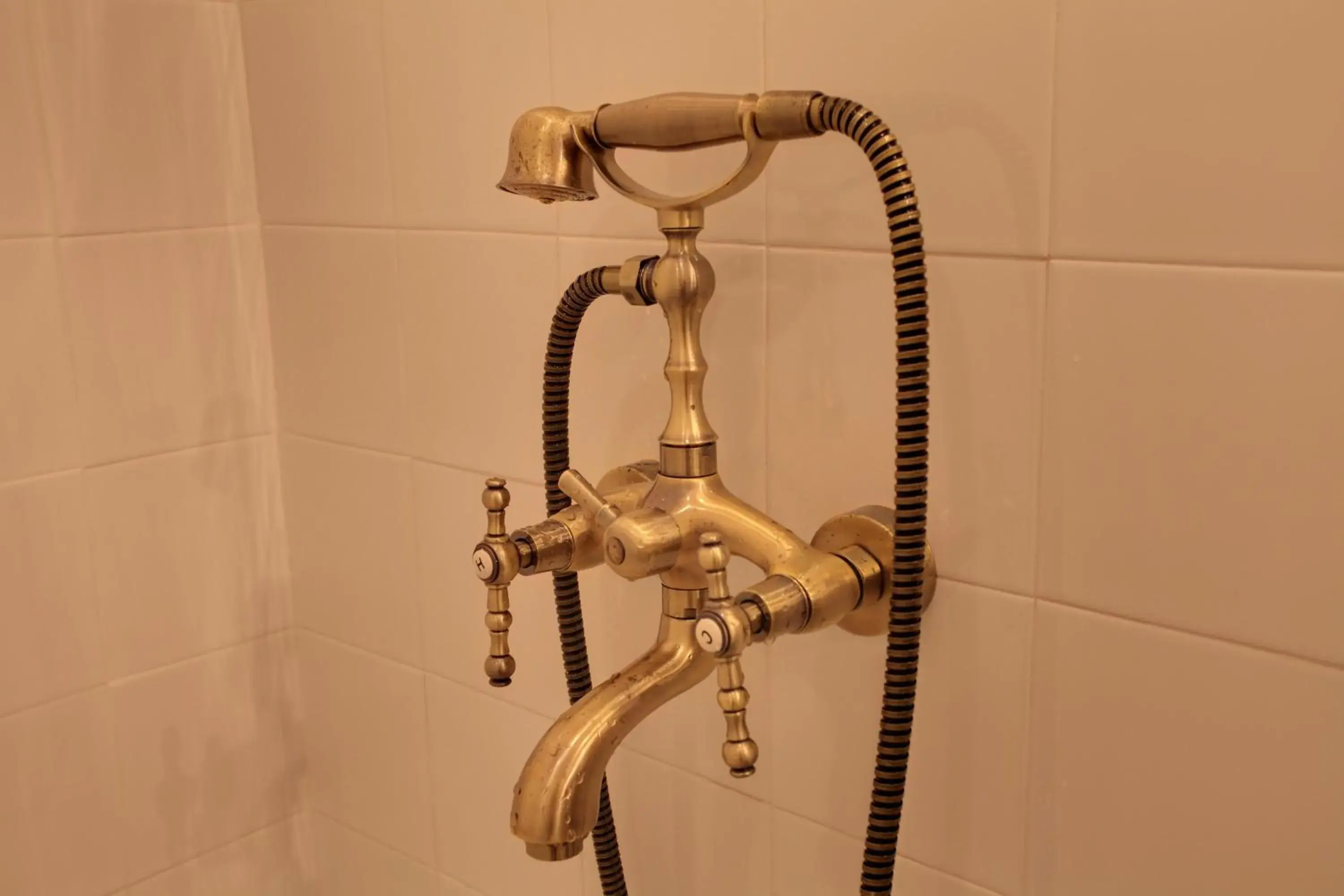 Shower, Bathroom in Hotel Evmolpia