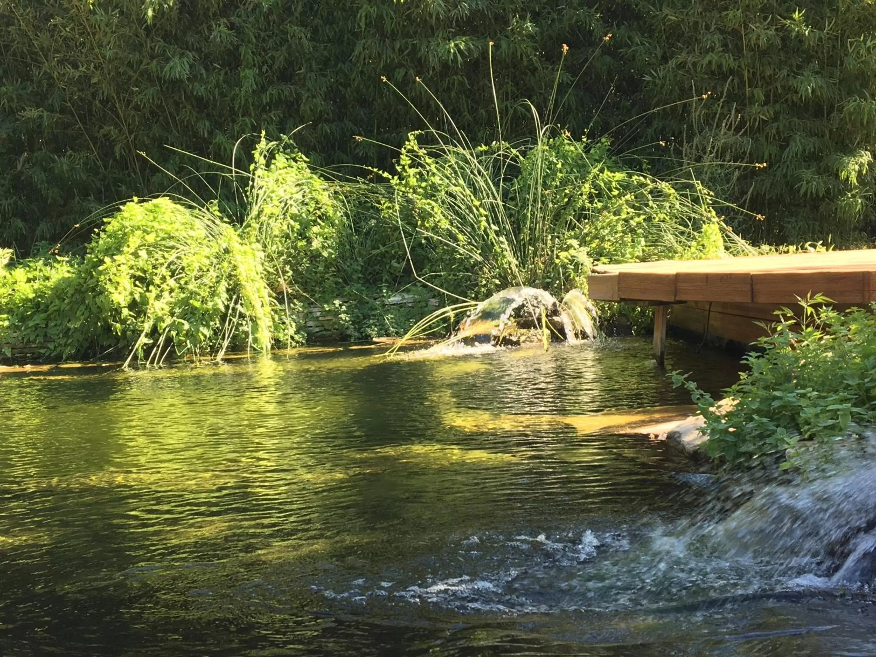 Swimming pool in Désir'ôôm