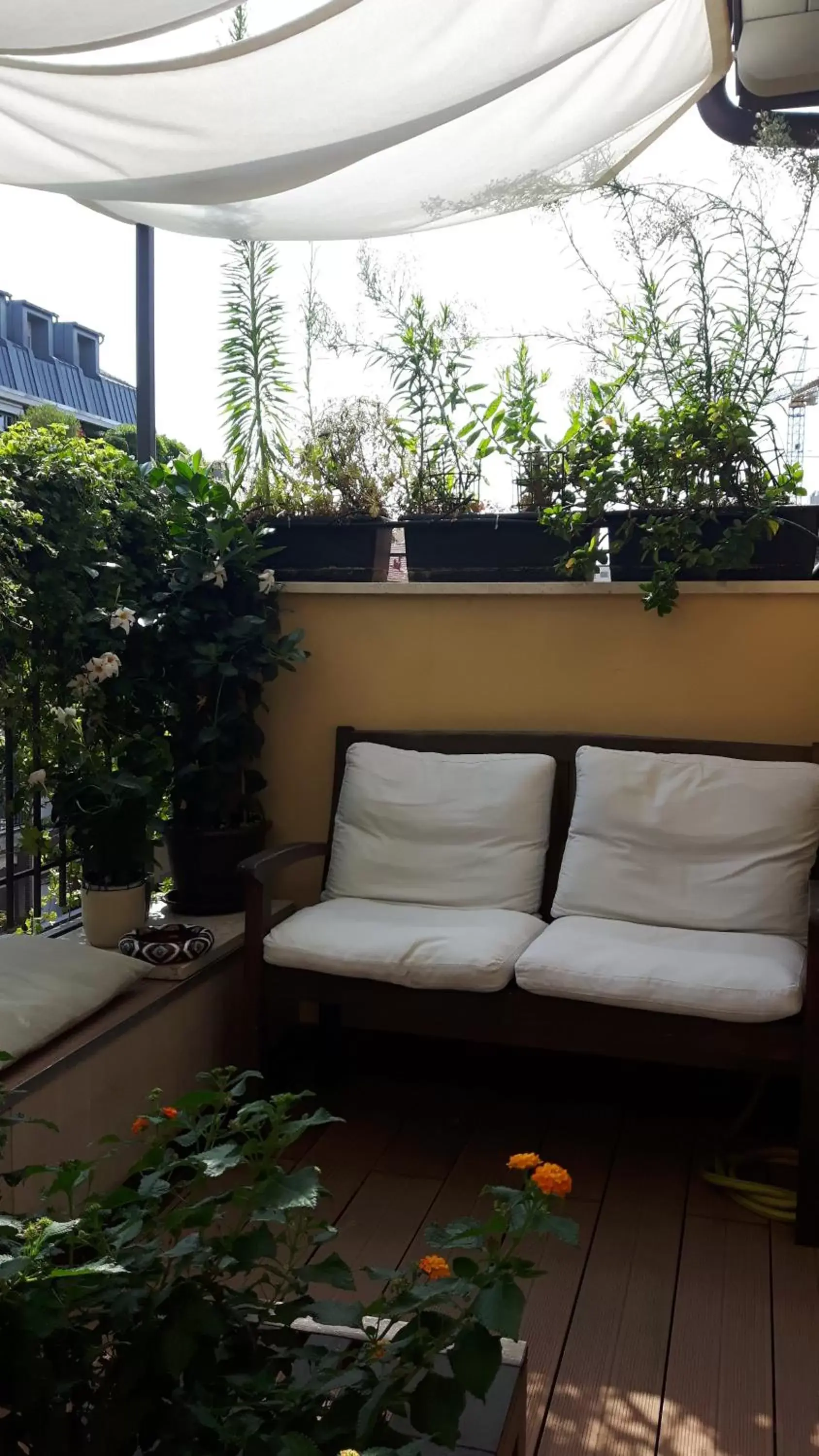 Balcony/Terrace in Bronzino House