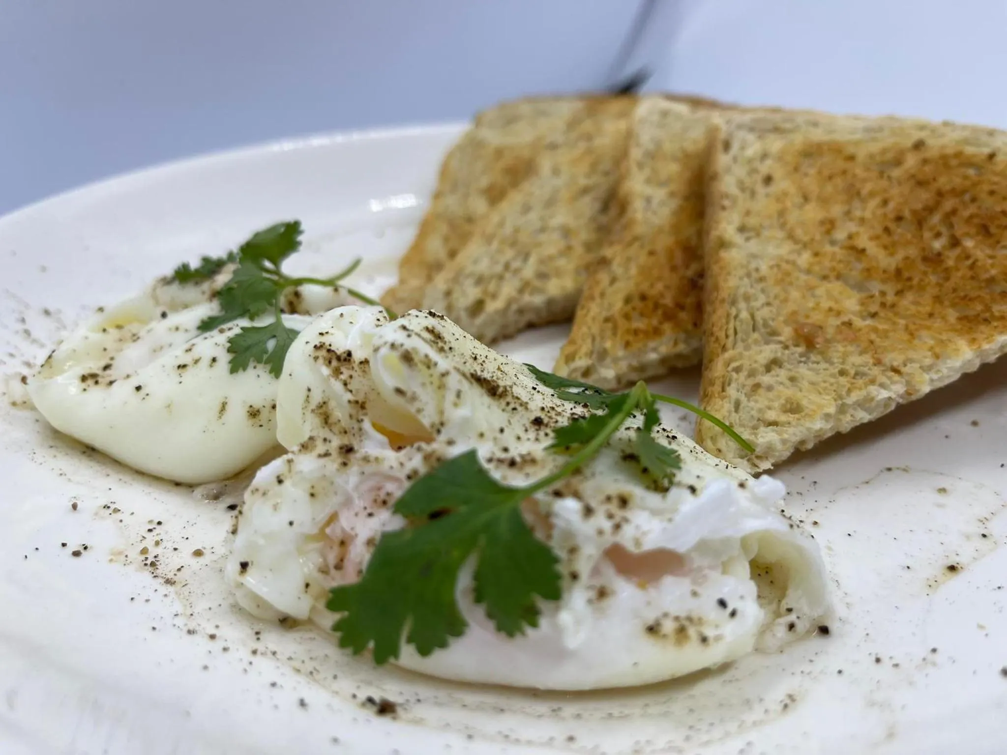 Food in Queenwood Hotel