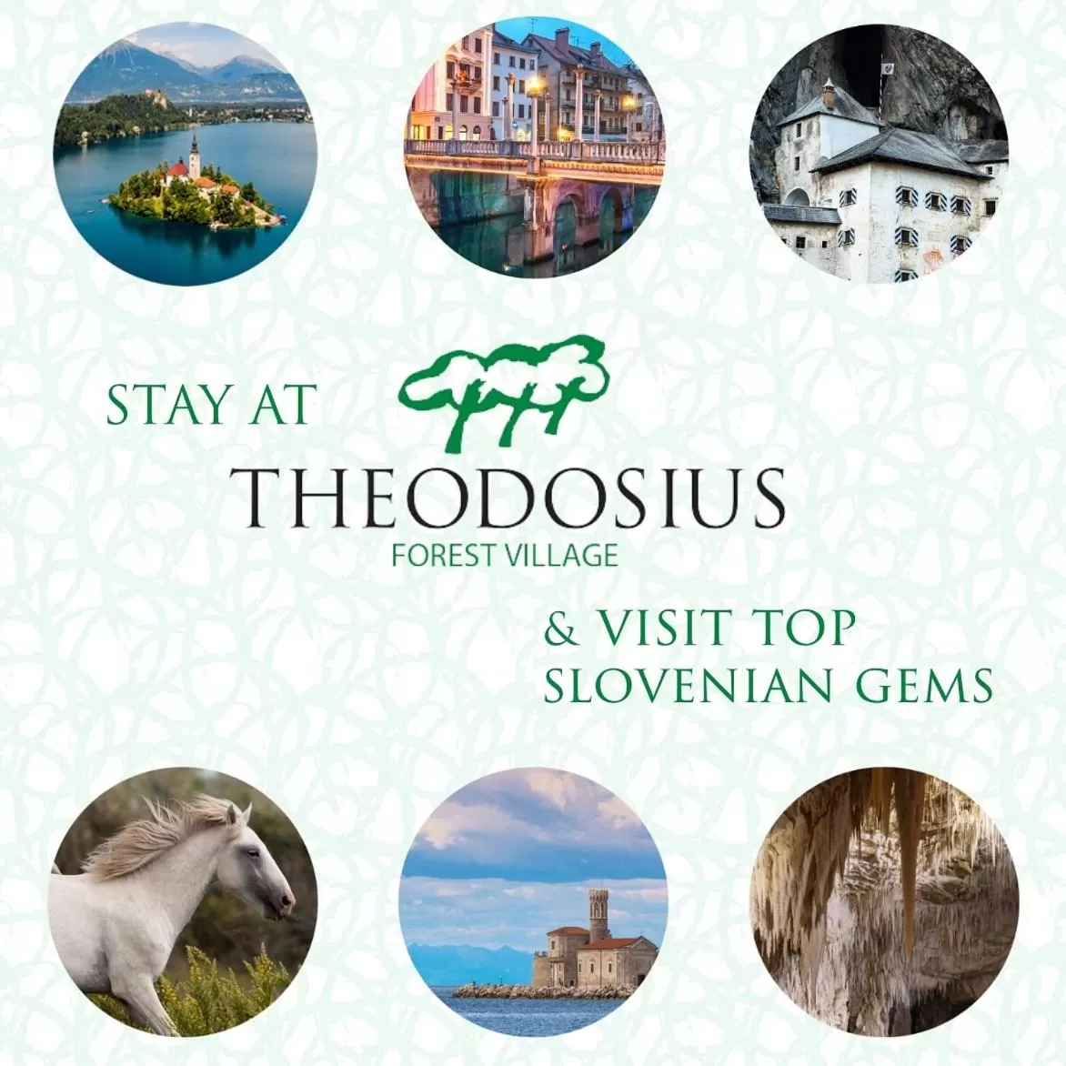 Activities in Theodosius Forest Village - Glamping in Vipava valley