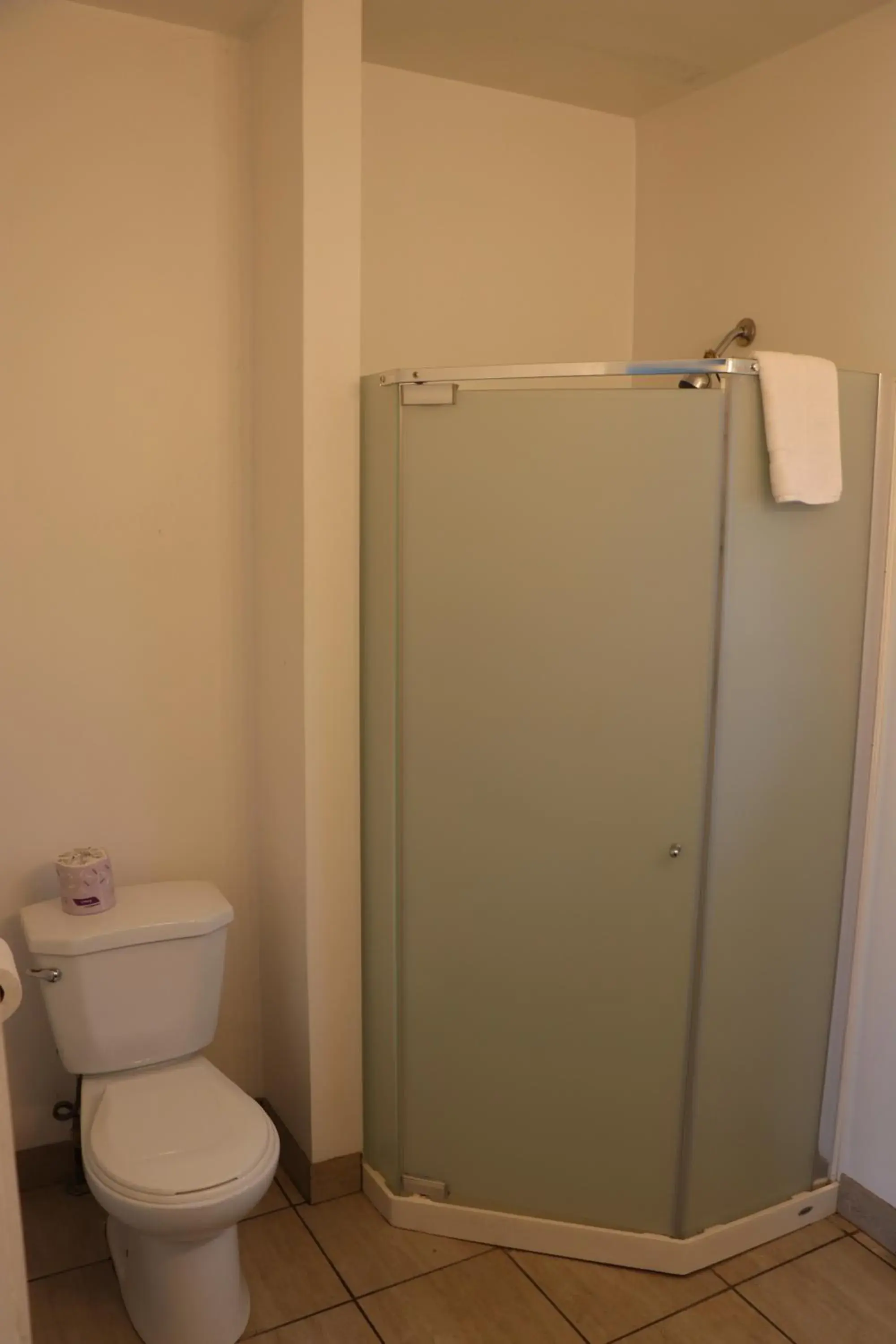 Toilet, Bathroom in Falcon Inn