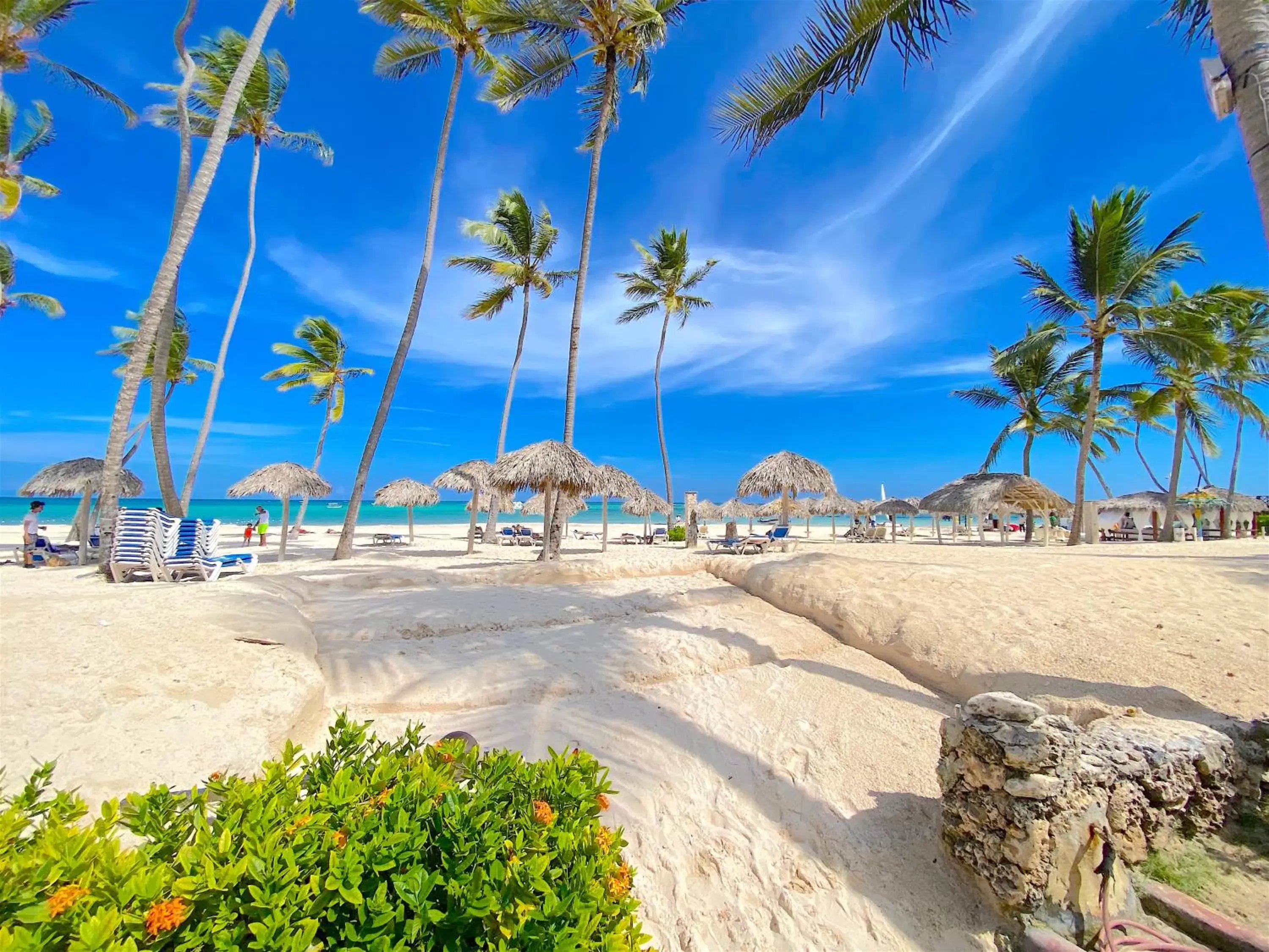 Beach in LOS CORALES VILLAS and SUITES - BEACH CLUB, SPA, RESTAURANTS