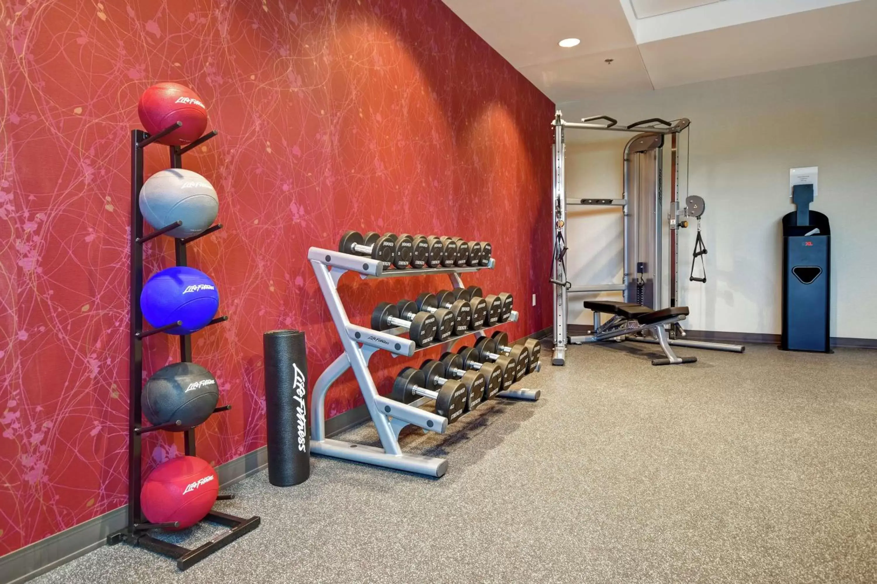 Fitness centre/facilities, Fitness Center/Facilities in Home2 Suites By Hilton Walpole Foxborough