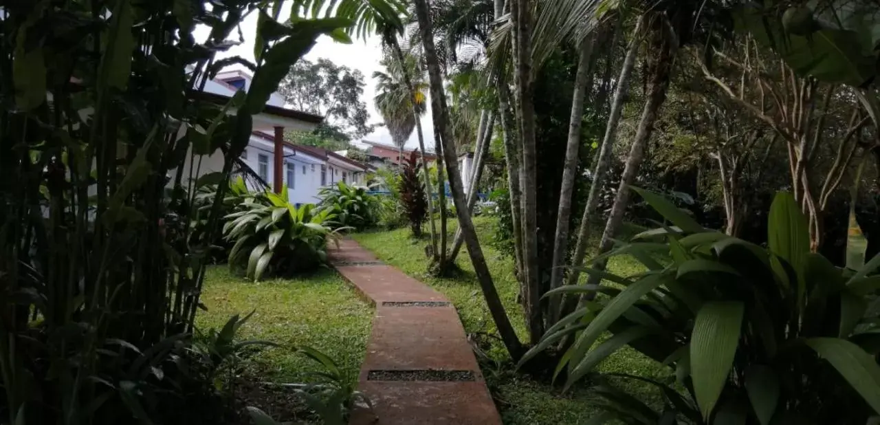 Garden in Geliwa B&B