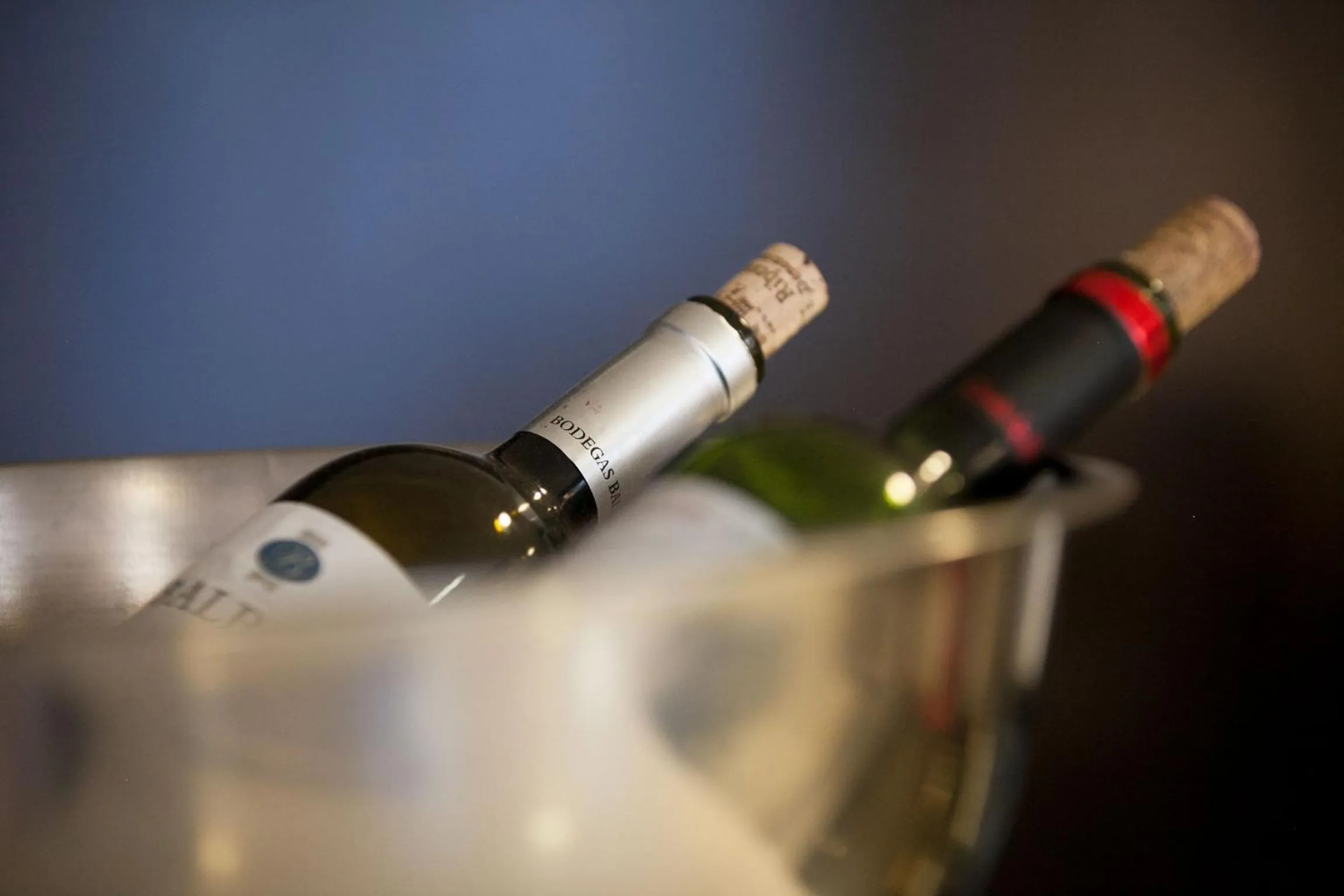 Restaurant/places to eat in Hotel Universal by Maxi Hoteles