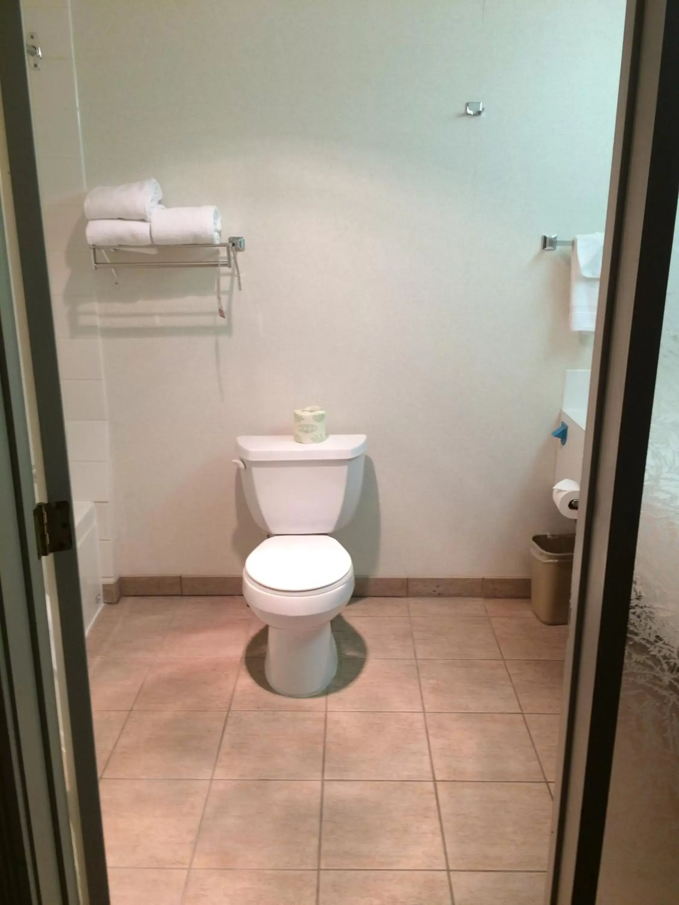 Toilet, Bathroom in Super 8 by Wyndham Lethbridge