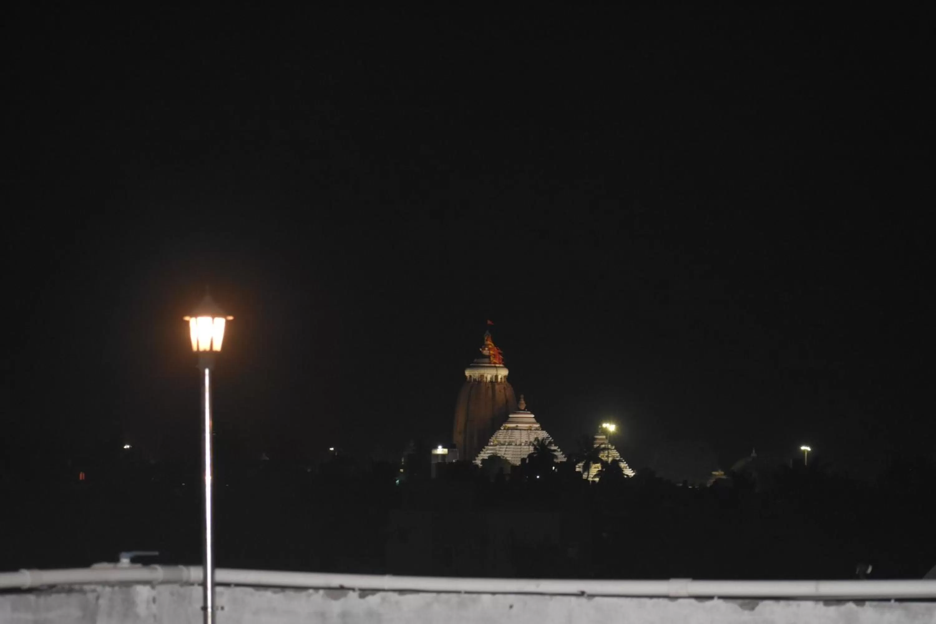 City view in HOTEL PURI GREENS