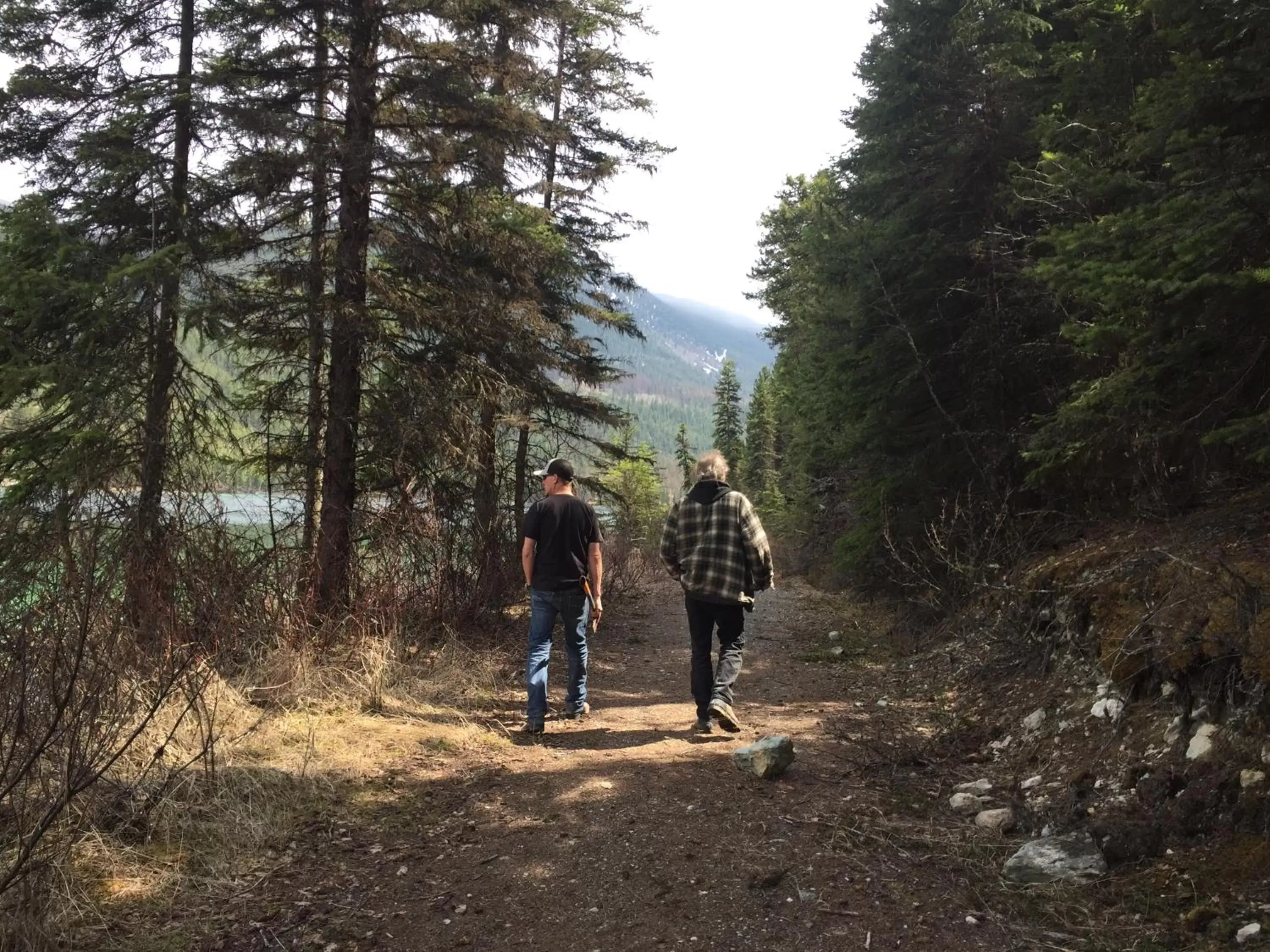 Hiking in Misty River Lodge