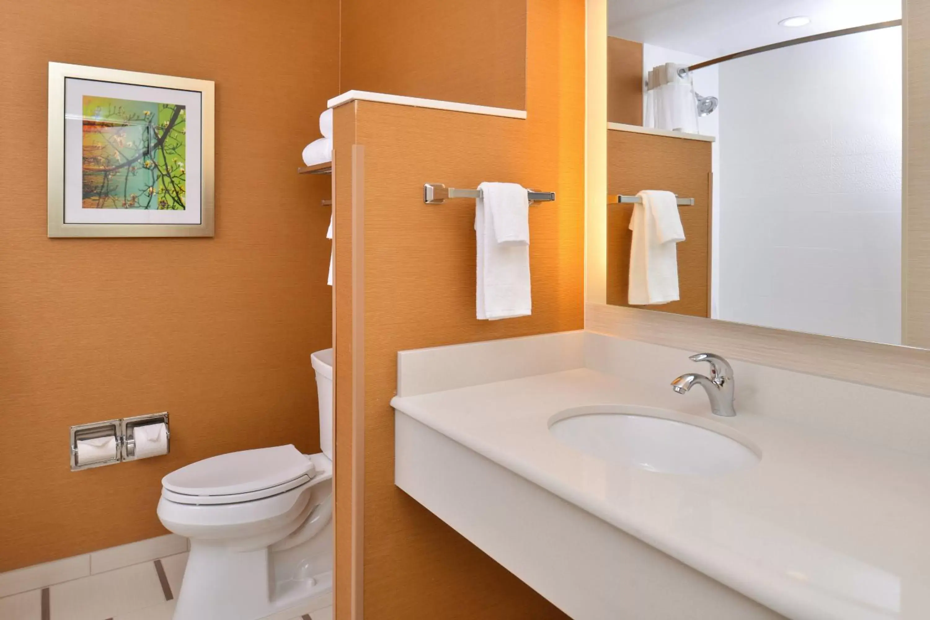 Bathroom in Fairfield Inn & Suites by Marriott Sacramento Airport Woodland