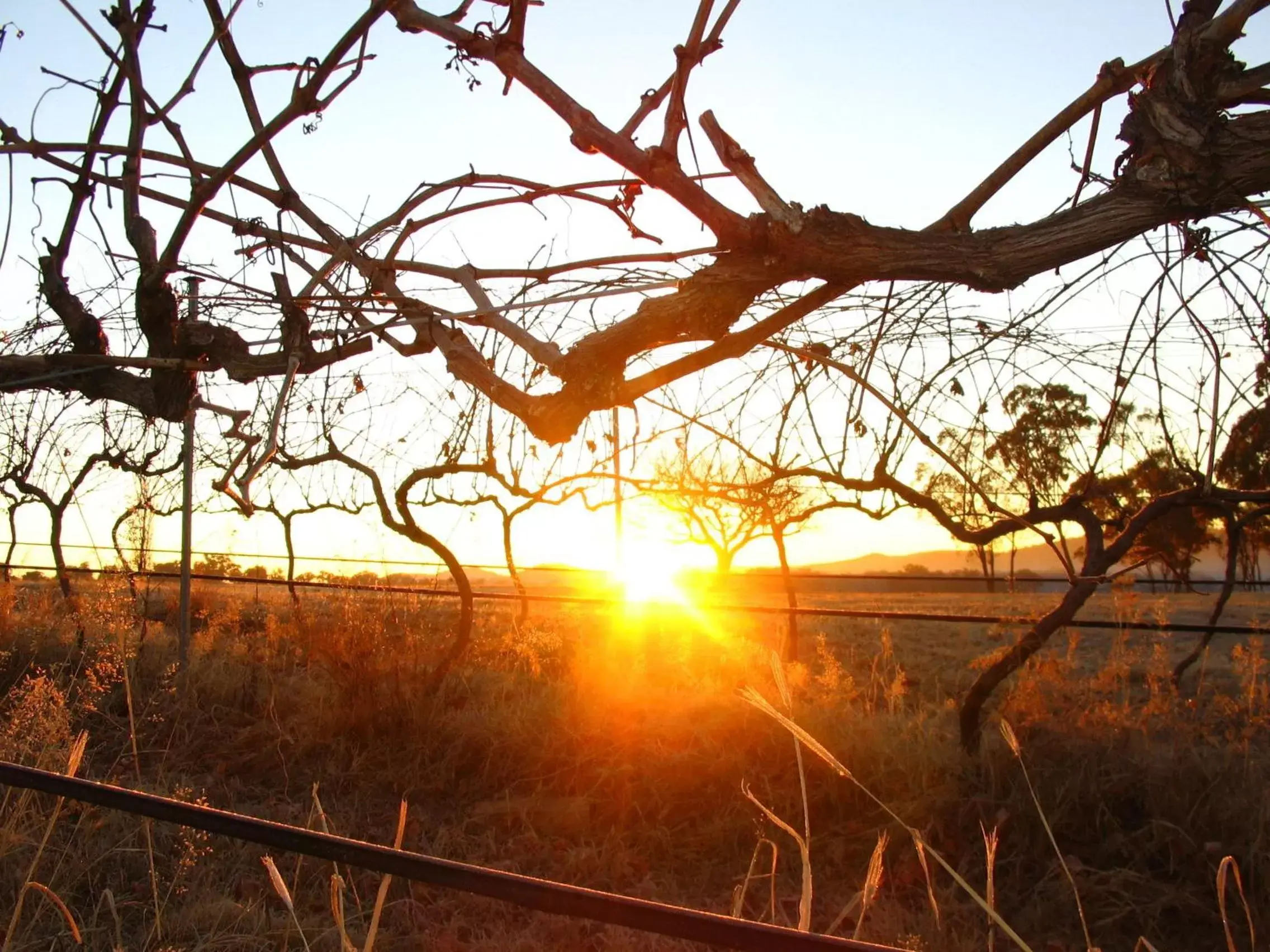 Winter, Sunrise/Sunset in Ridgemill Estate