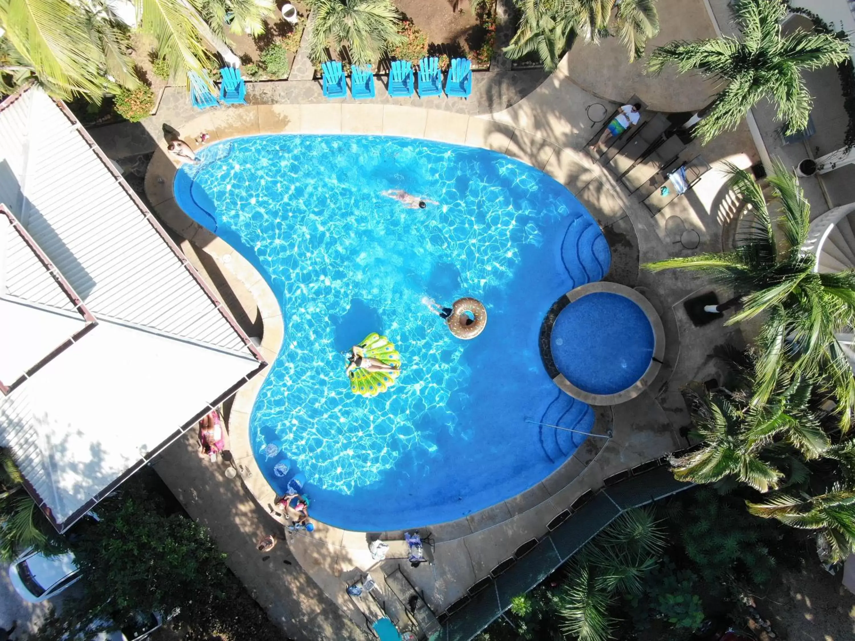Bird's eye view, Pool View in Hotel Mar Rey