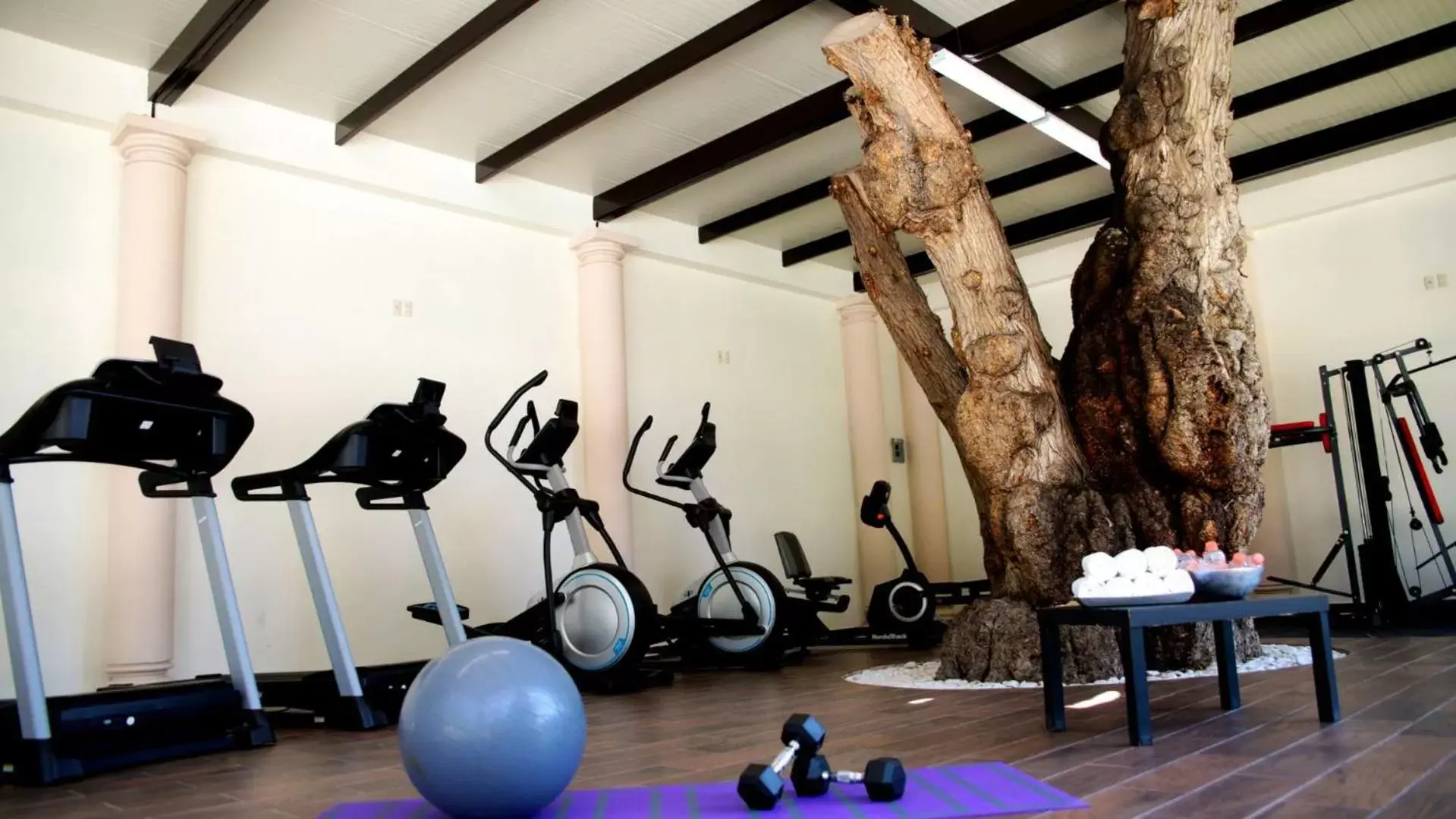 Fitness centre/facilities, Fitness Center/Facilities in Hotel Real Home