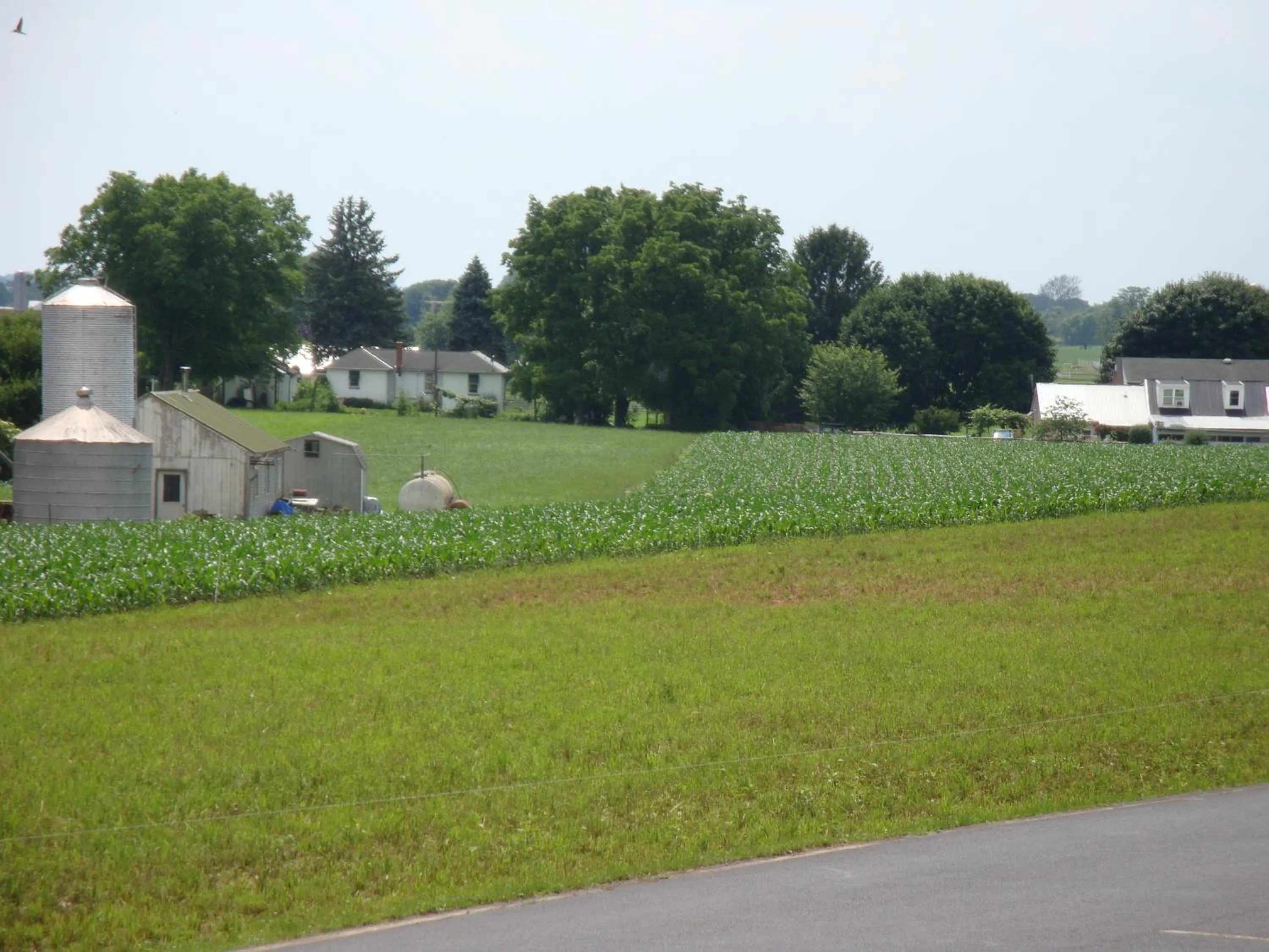 Area and facilities in Soudersburg Inn & Suites Lancaster