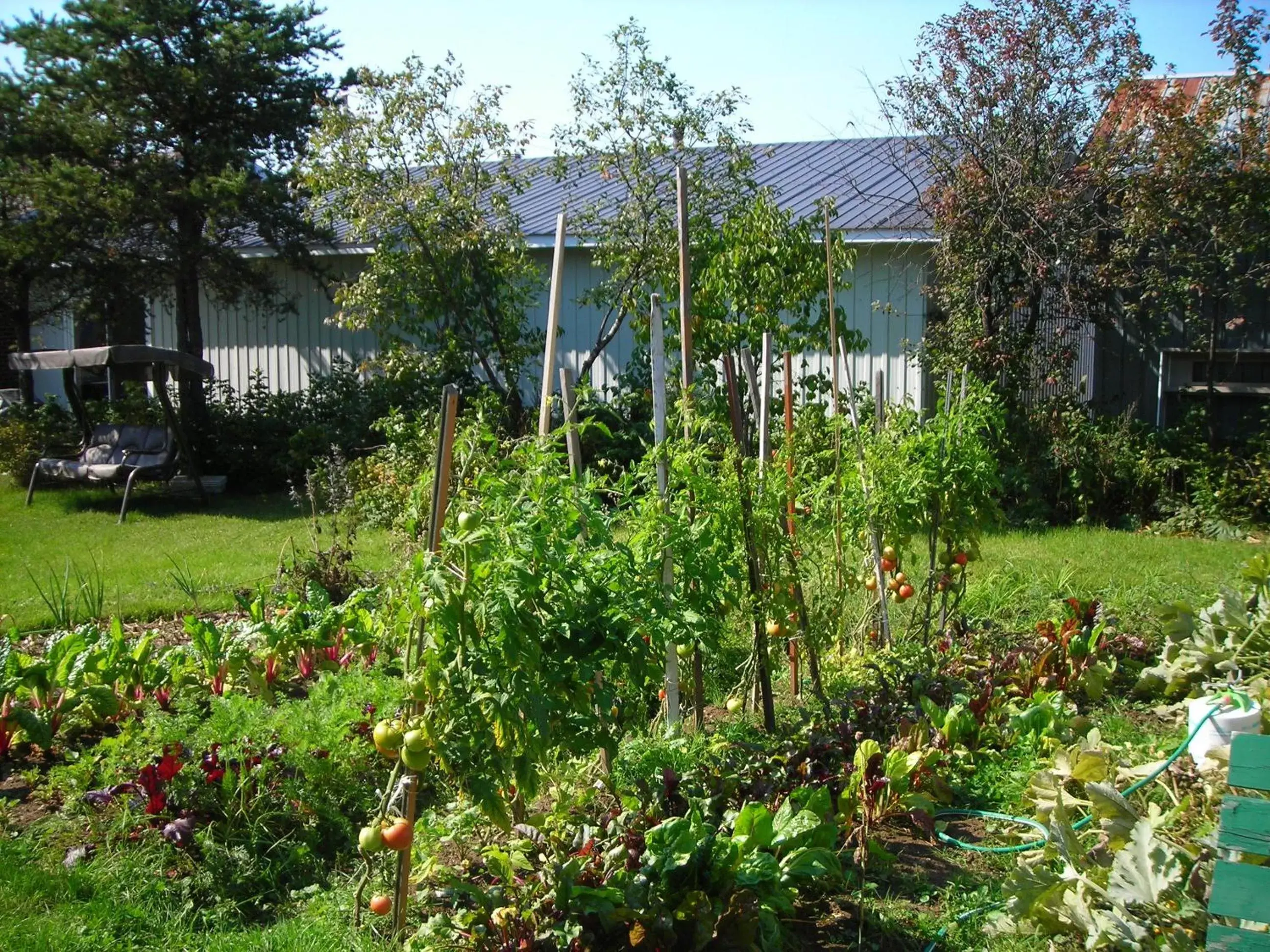 Garden in Gîte des Hauteurs et Café de la place