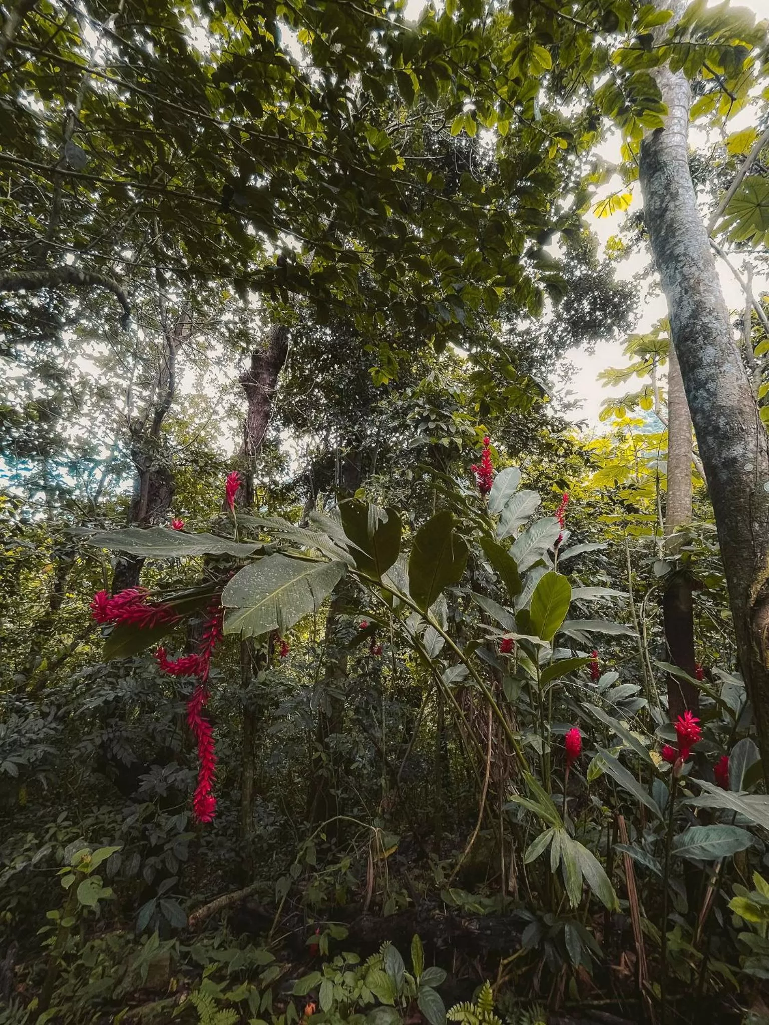 Natural landscape in Casa Grande Mountain Retreat - Adults Only