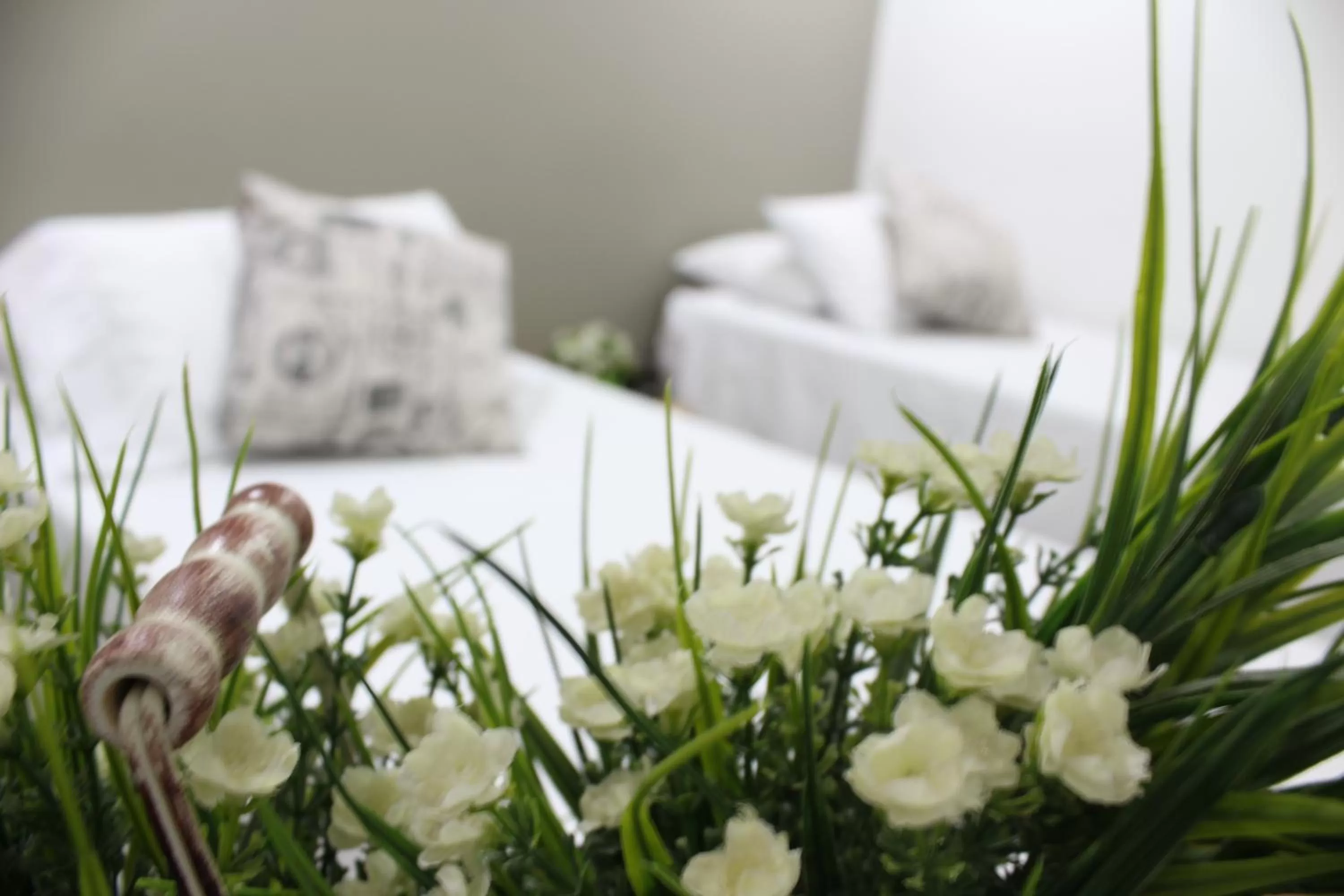 Bed in Hotel Boutique Plaza