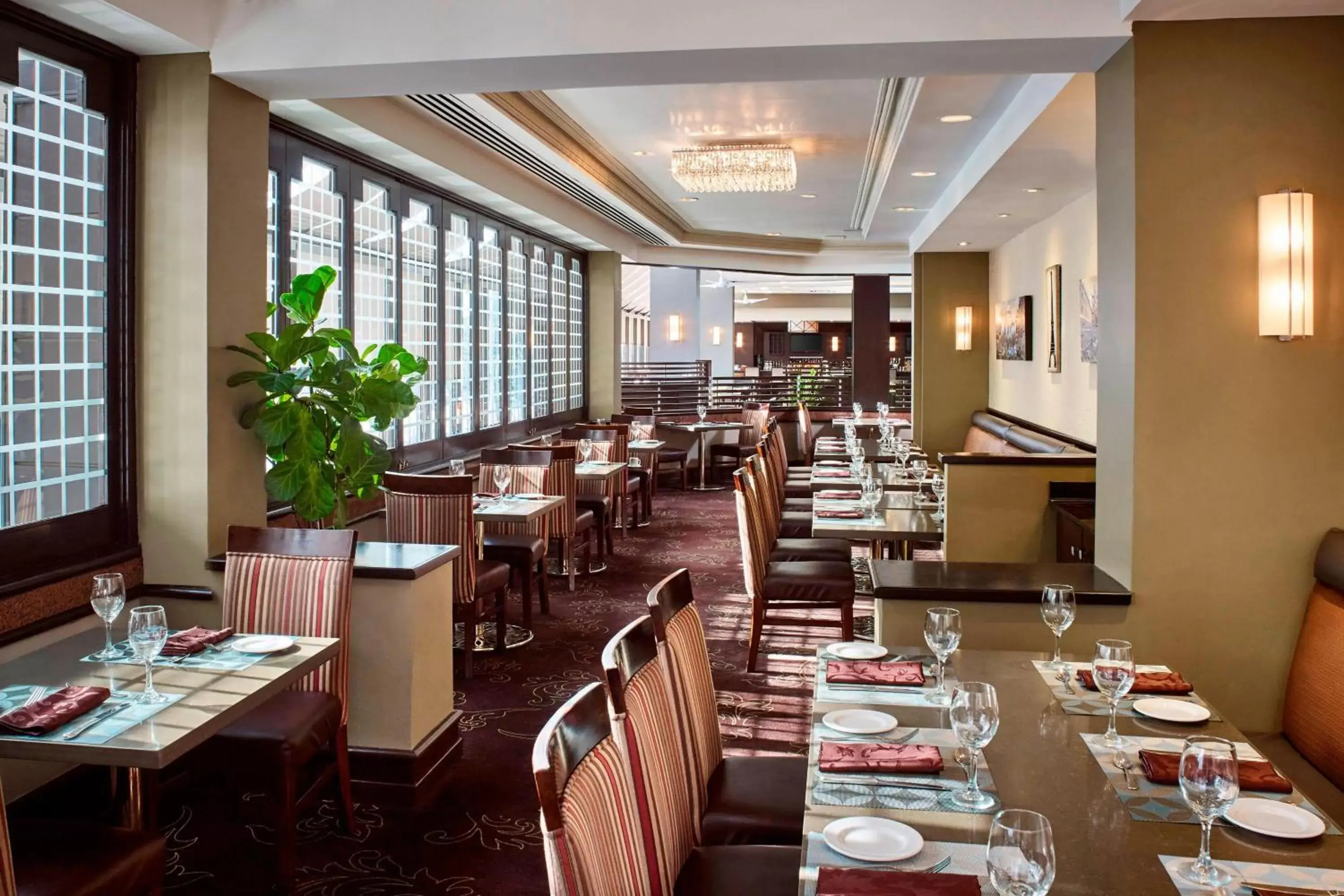 Restaurant/Places to Eat in Sheraton Hamilton Hotel