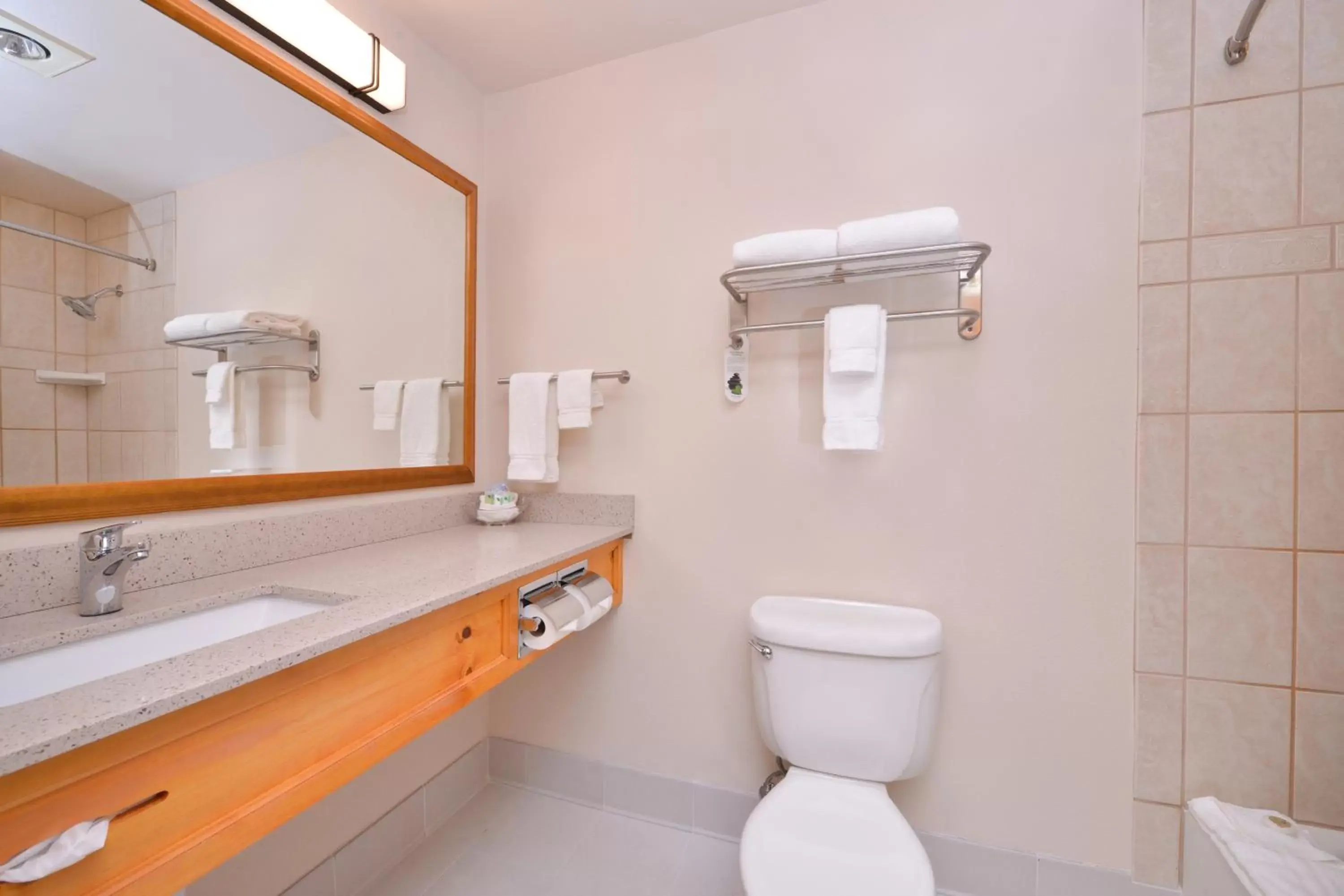 Bathroom in Best Western Plus Olympic Inn