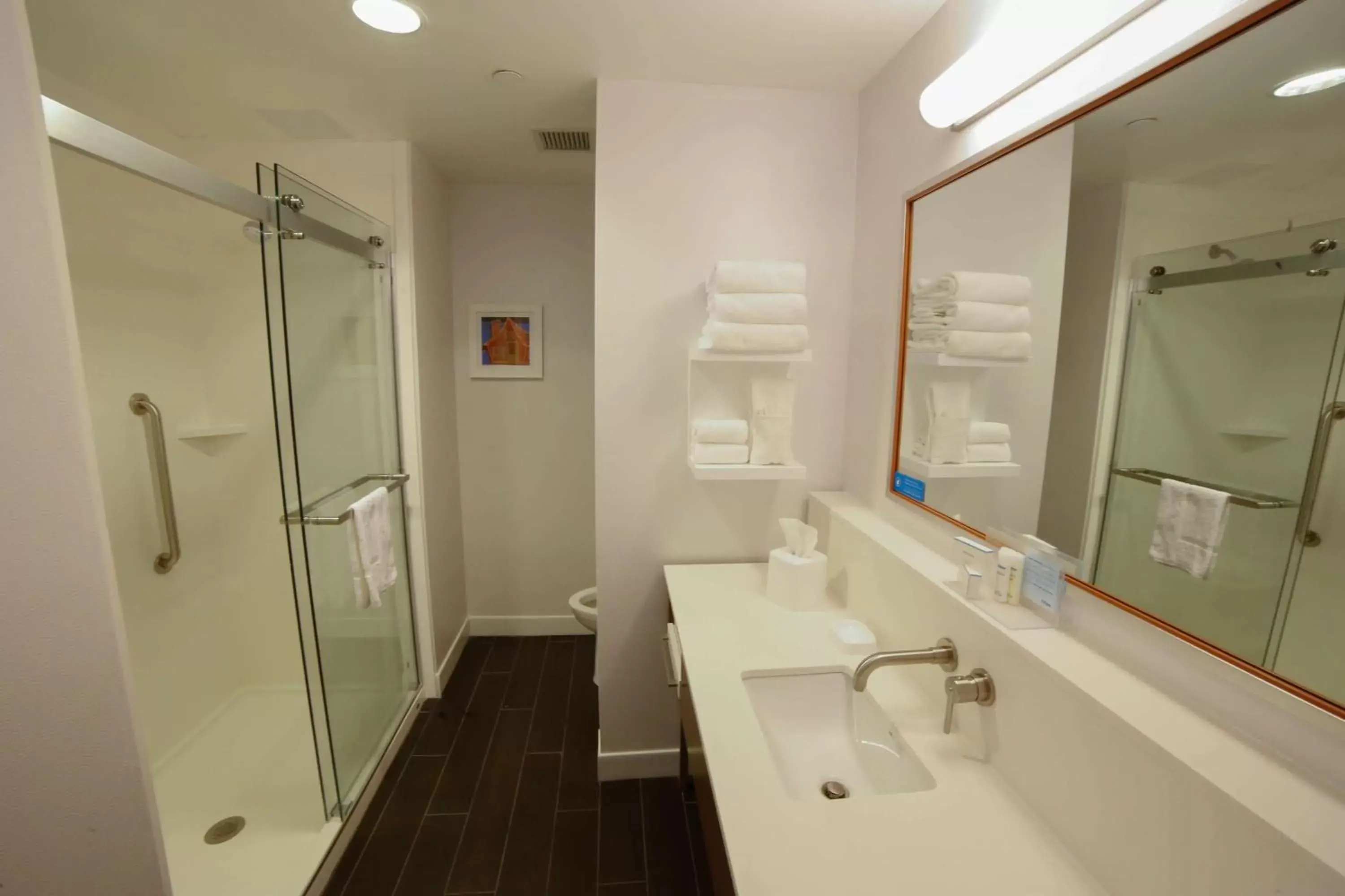 Bathroom in Hampton Inn & Suites Forest City