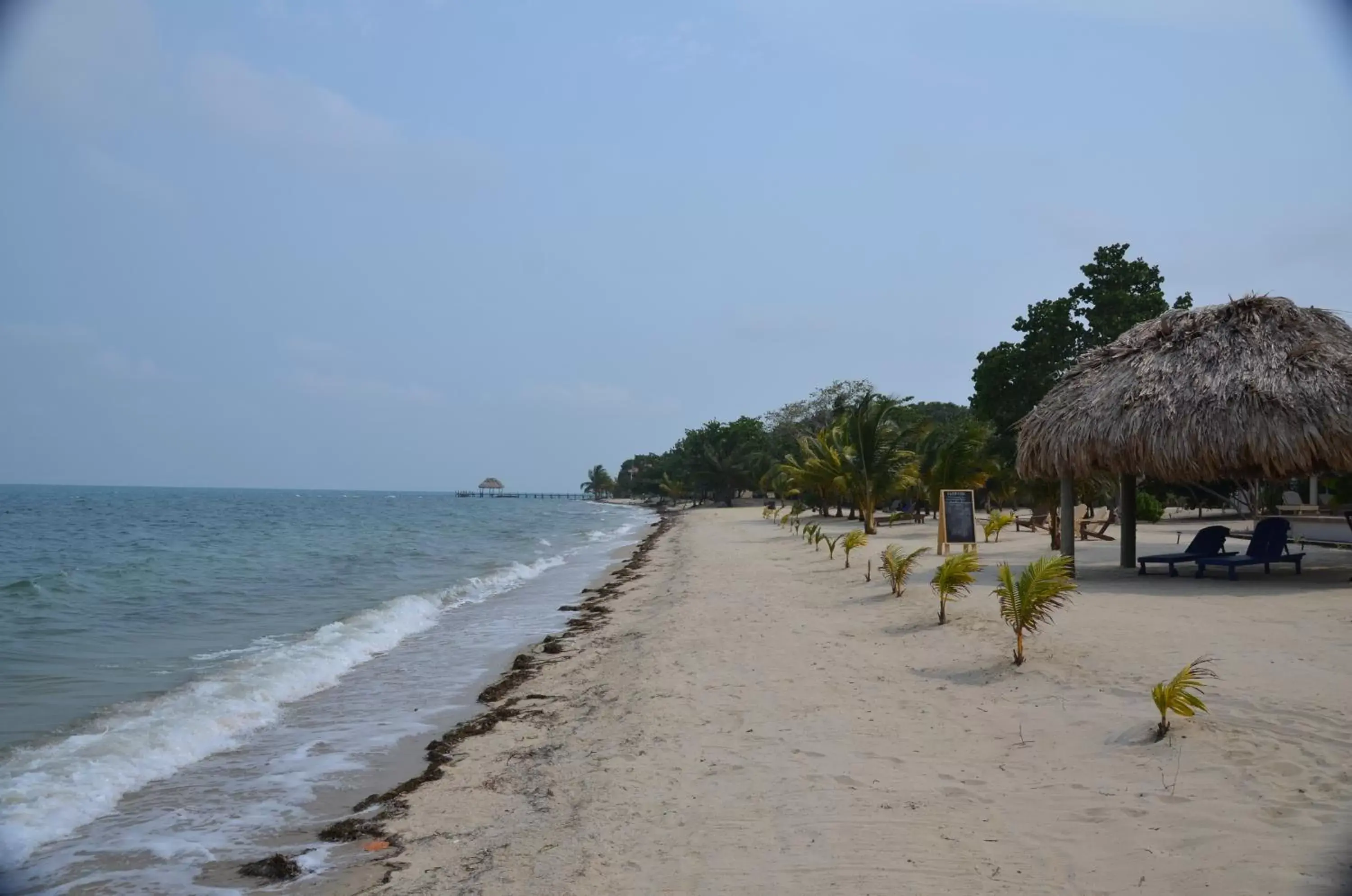 Beach in Mariposa Belize Beach Resort