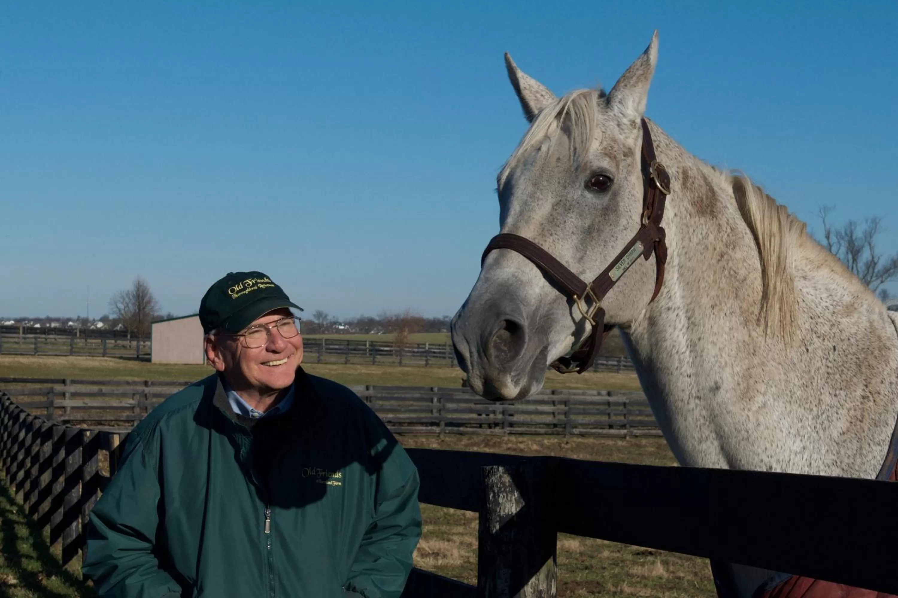Horse-riding in Baymont by Wyndham Georgetown Lexington North