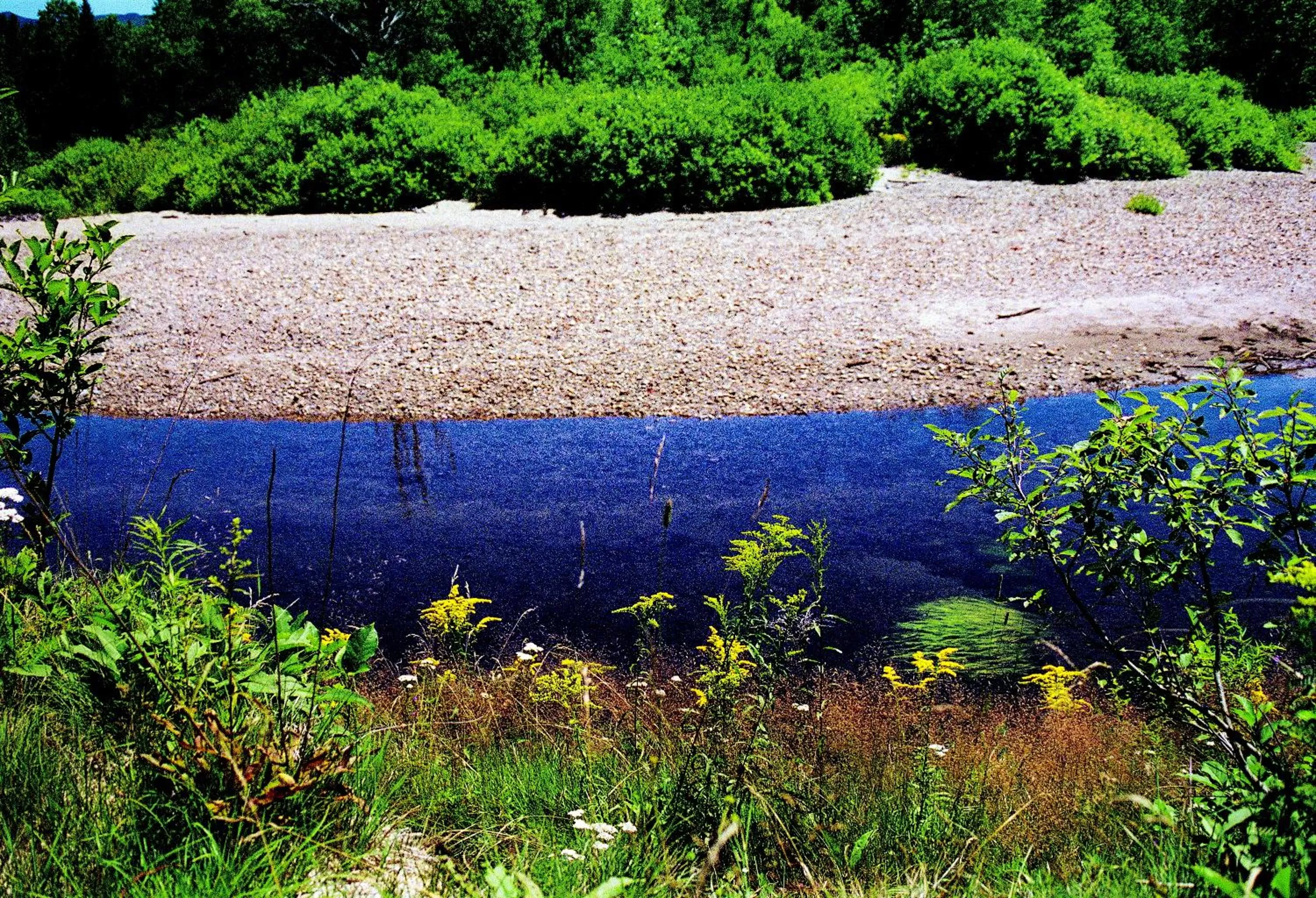 Fishing in Franconia Inn