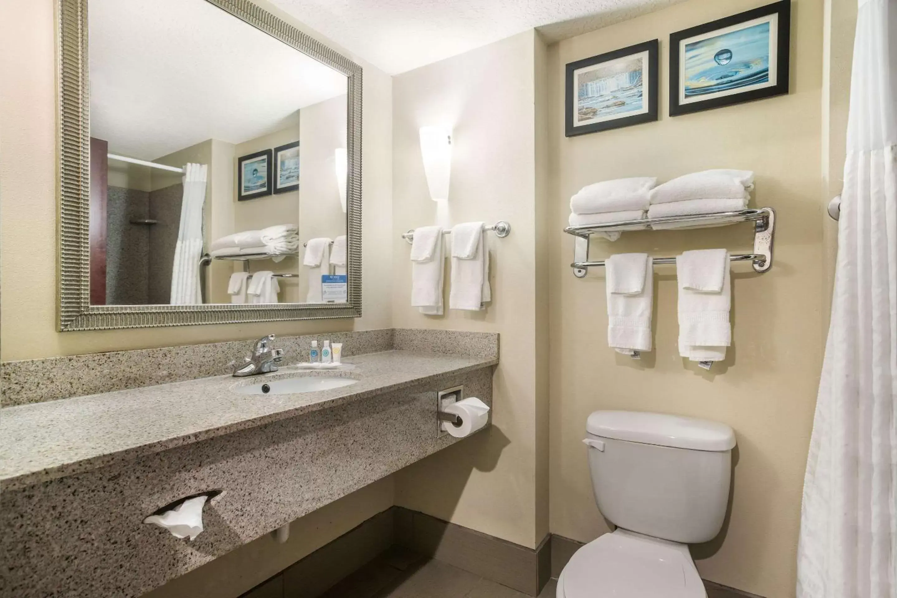 Photo of the whole room, Bathroom in Comfort Suites Forsyth near I-75