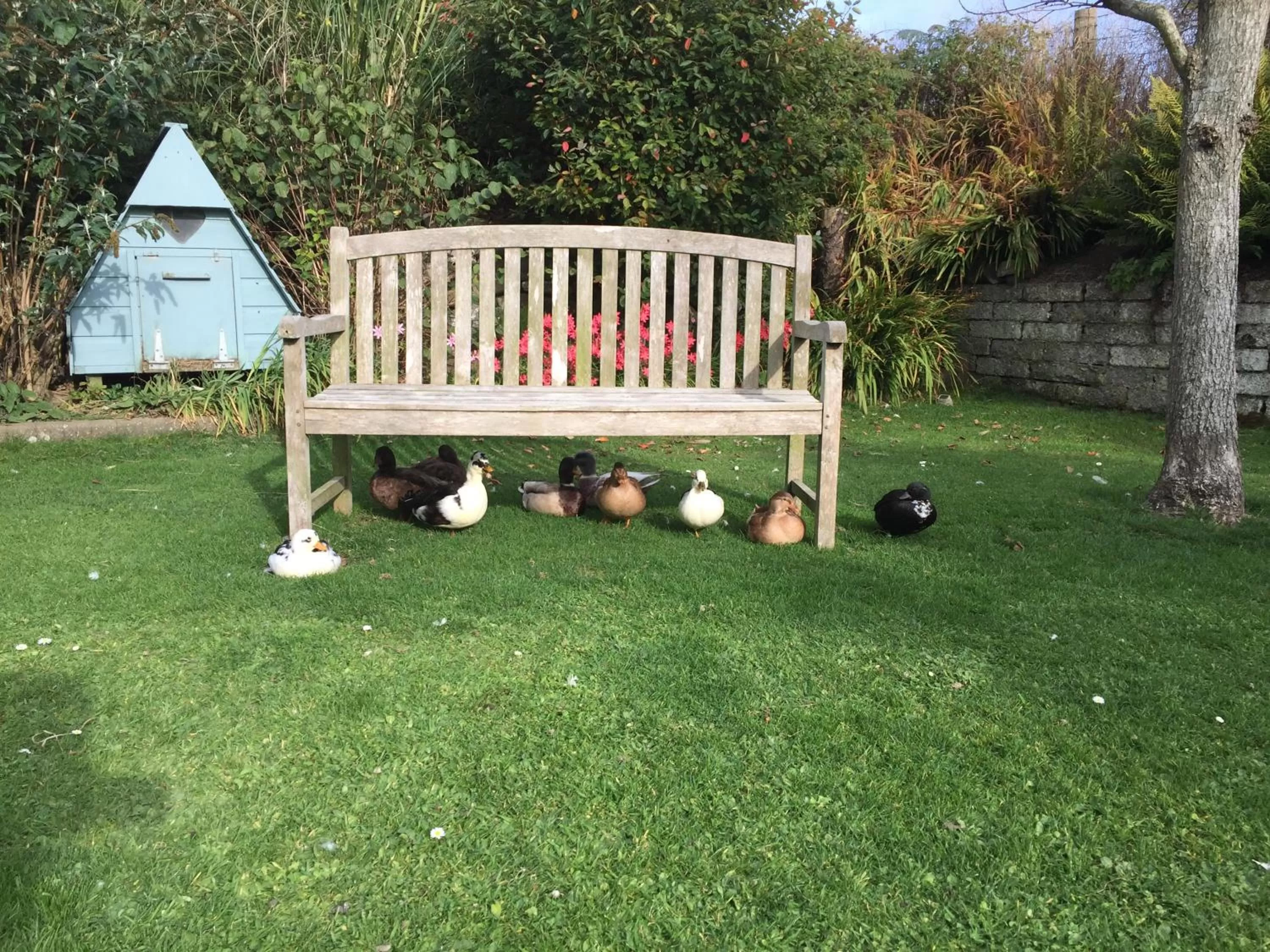 Property building in Ramsey House - Luxury Licensed B&B - Parking and Guest Lounge