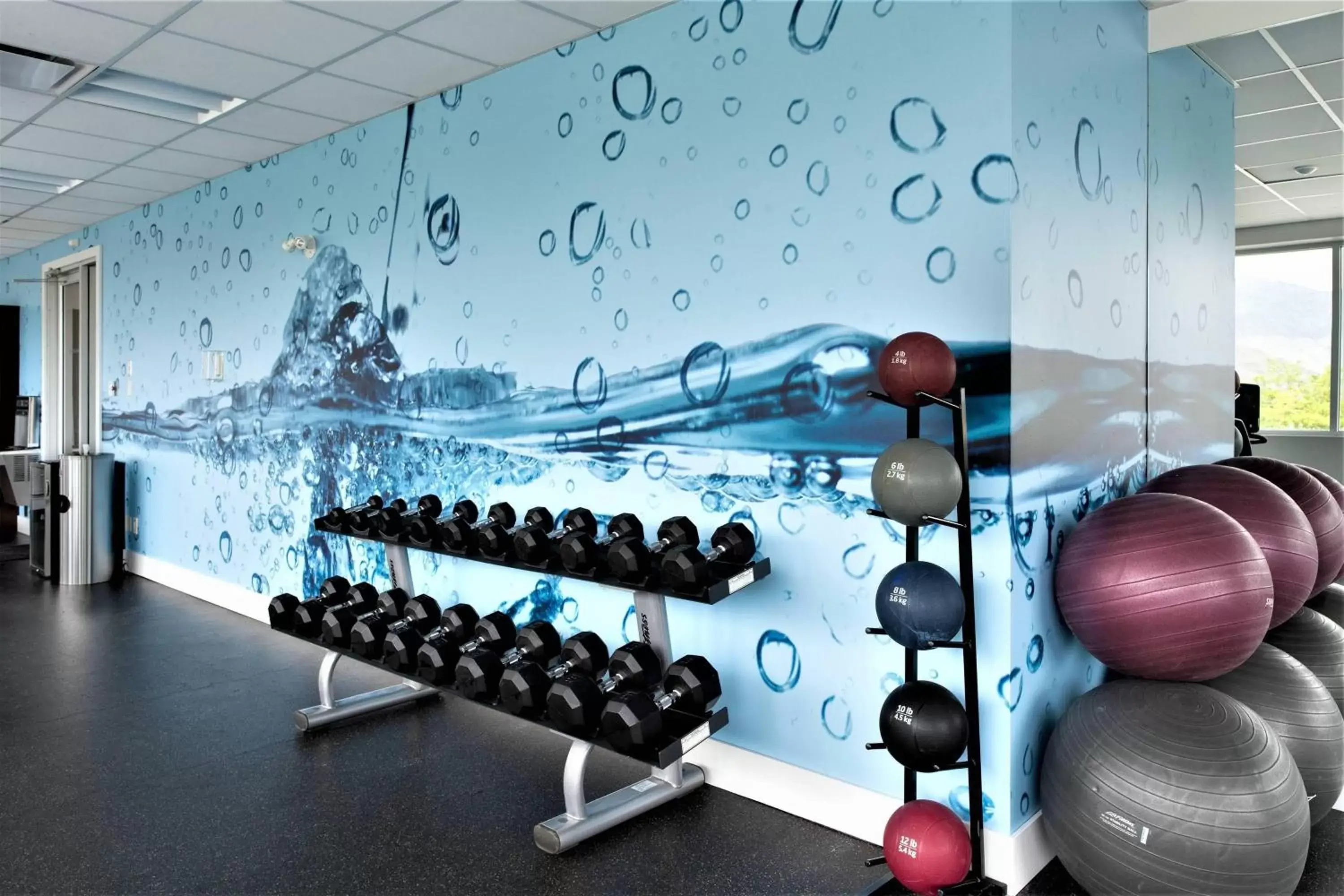 Fitness centre/facilities, Fitness Center/Facilities in Delta Hotels by Marriott Kamloops