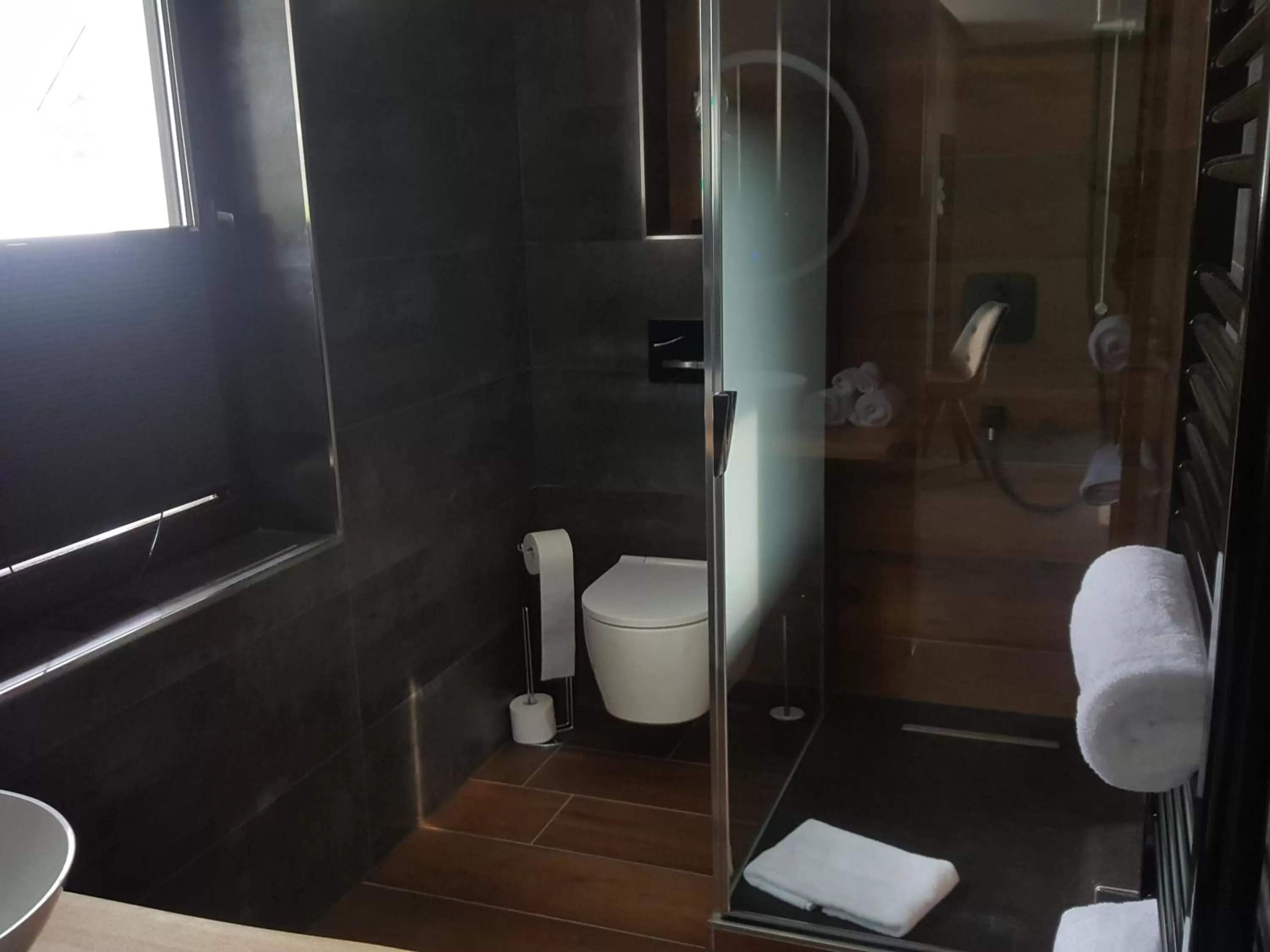 Shower in Hotel Hilleringmann