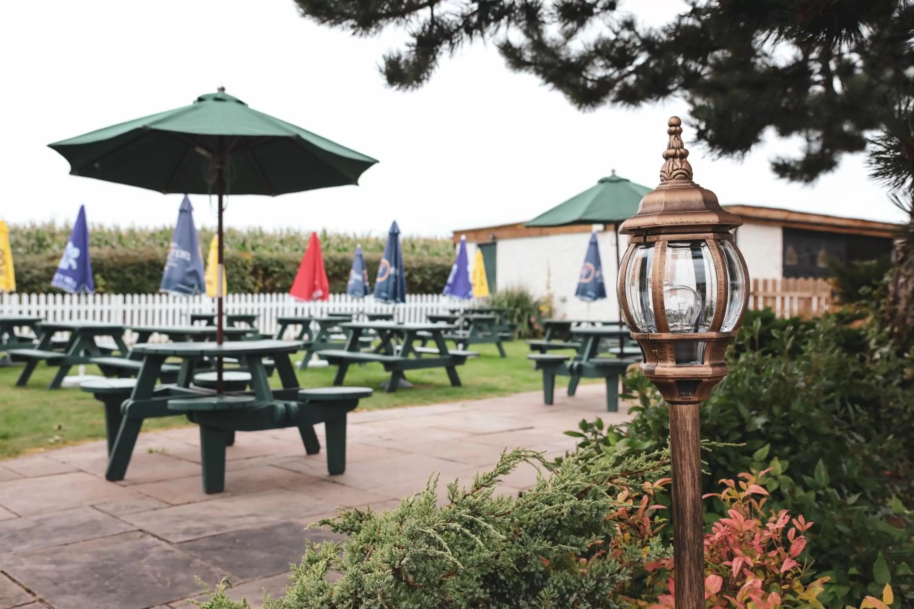 Garden in Three Horseshoes Inn