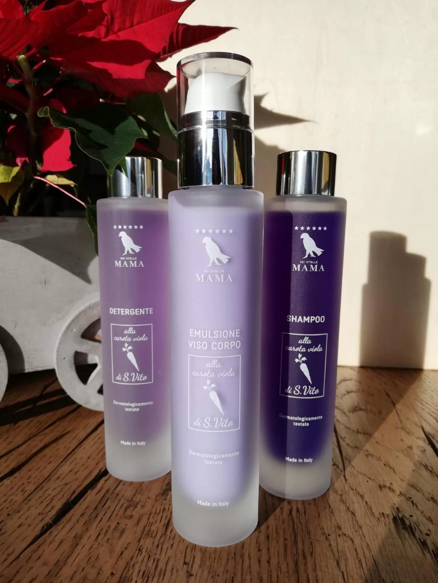 Shower in Sei Stelle Mama