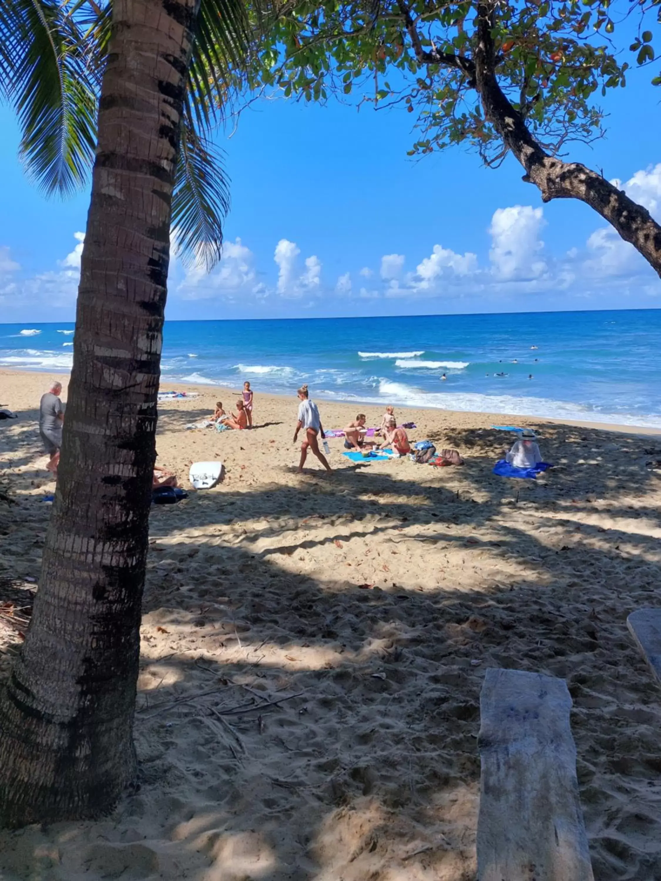 Beach in Cabarete Maravilla Eco Lodge Boutique Beach Surf & Kite