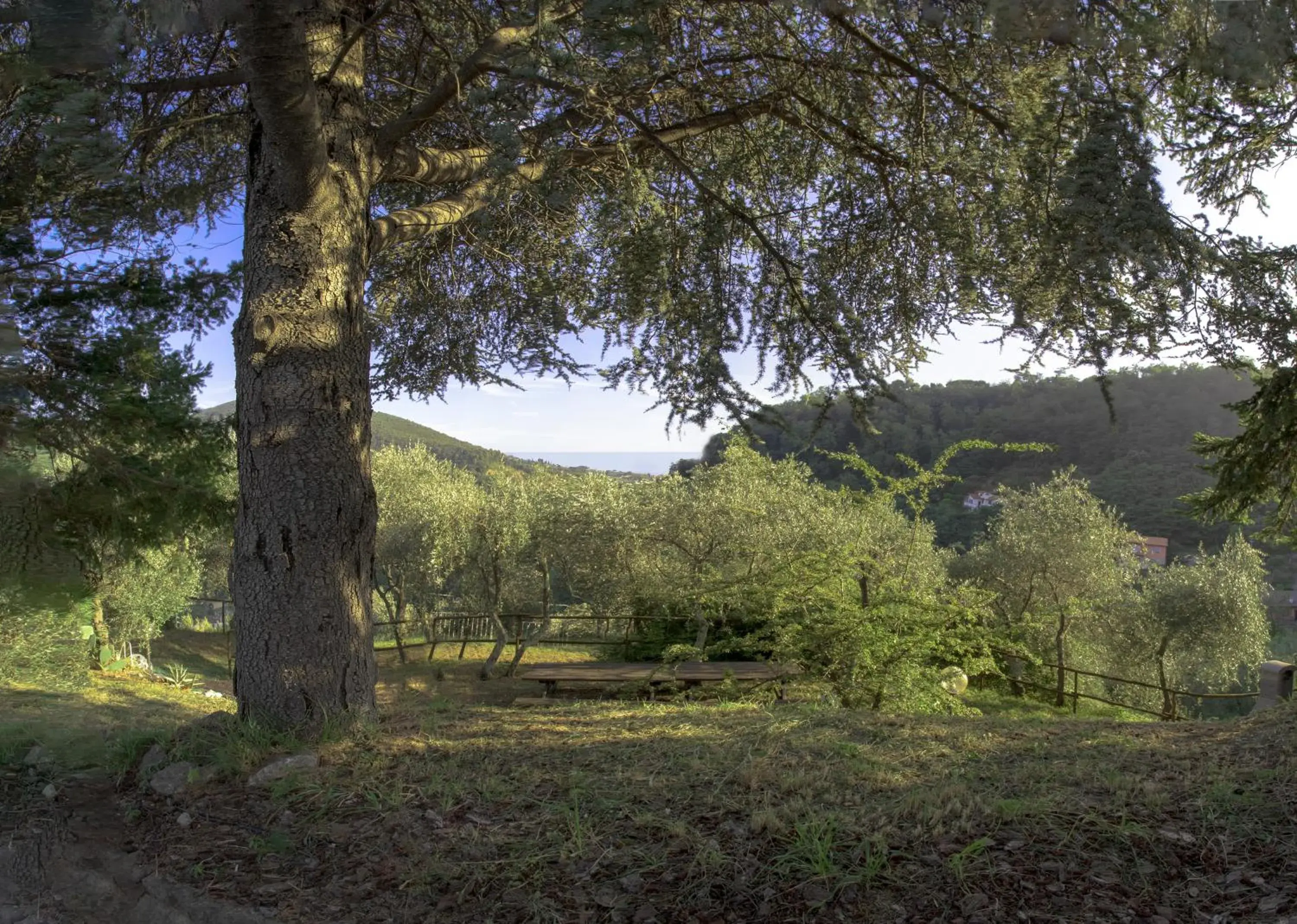 Natural landscape in Albergo Serena